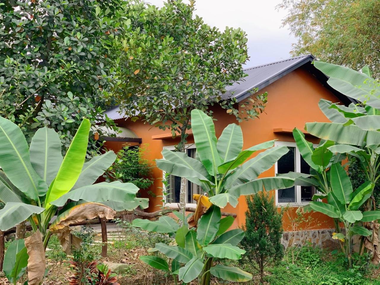 Paradise Soc Son Resort