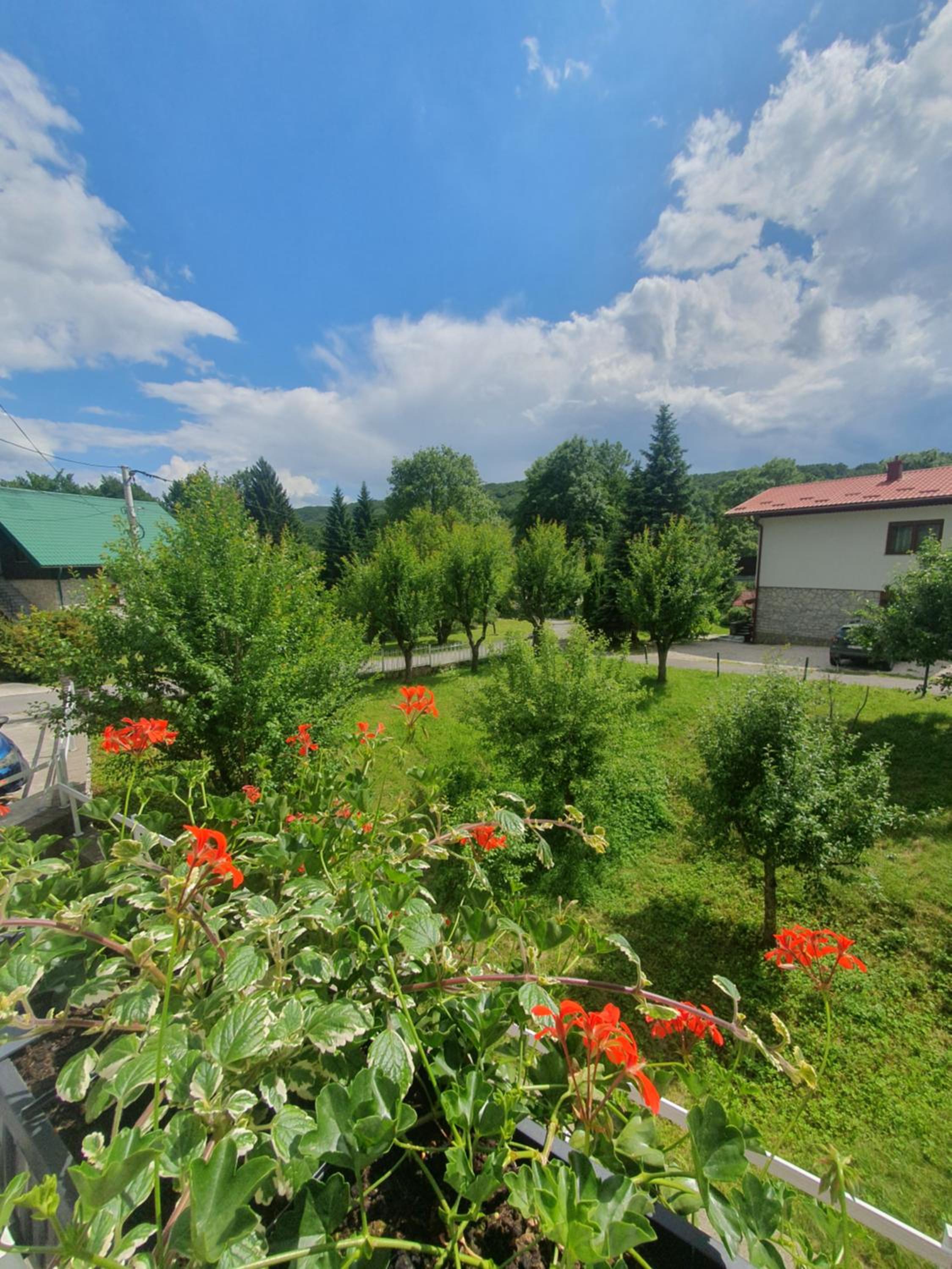 Guesthouse Nikola view 5