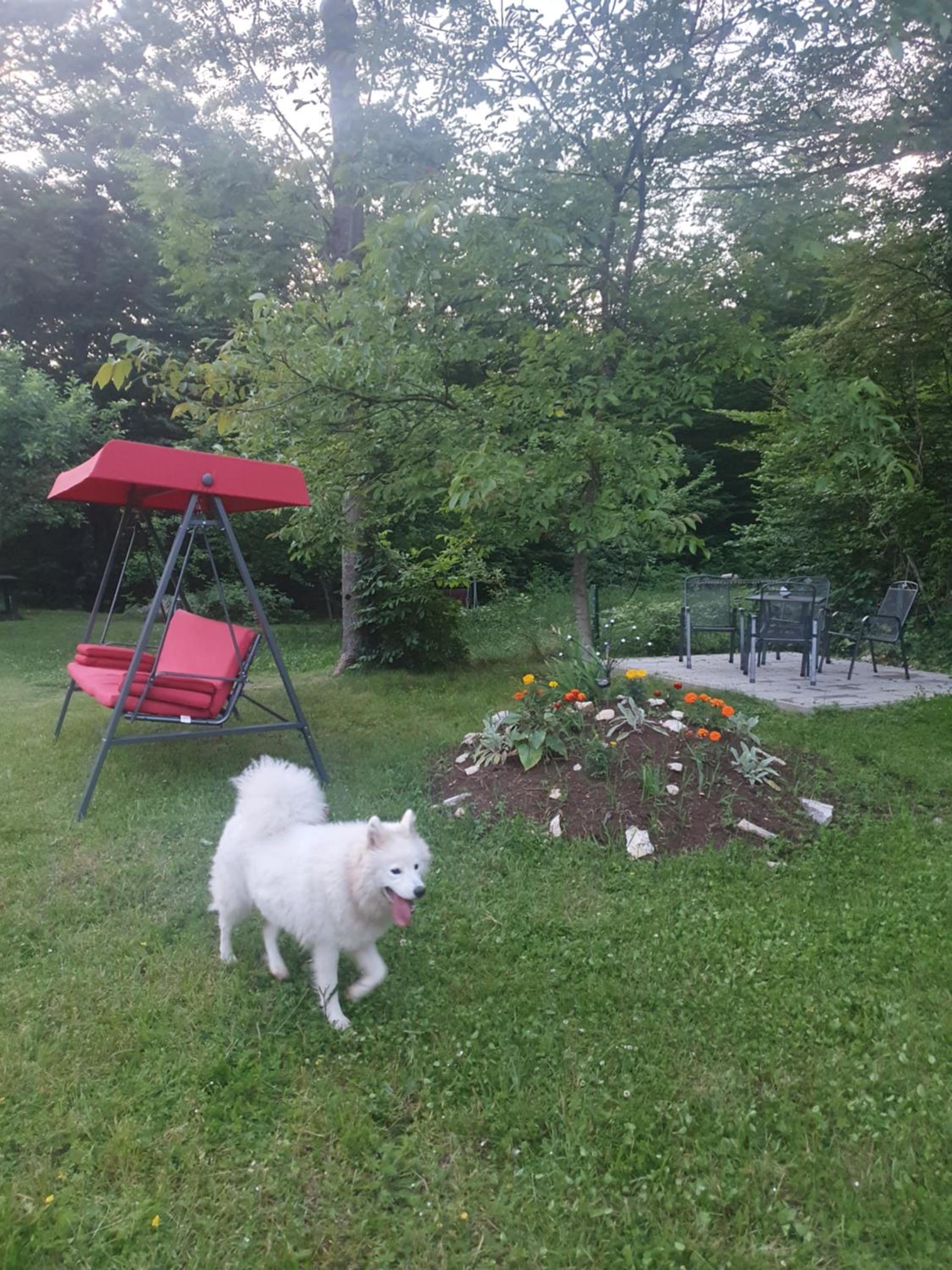 Photo 32