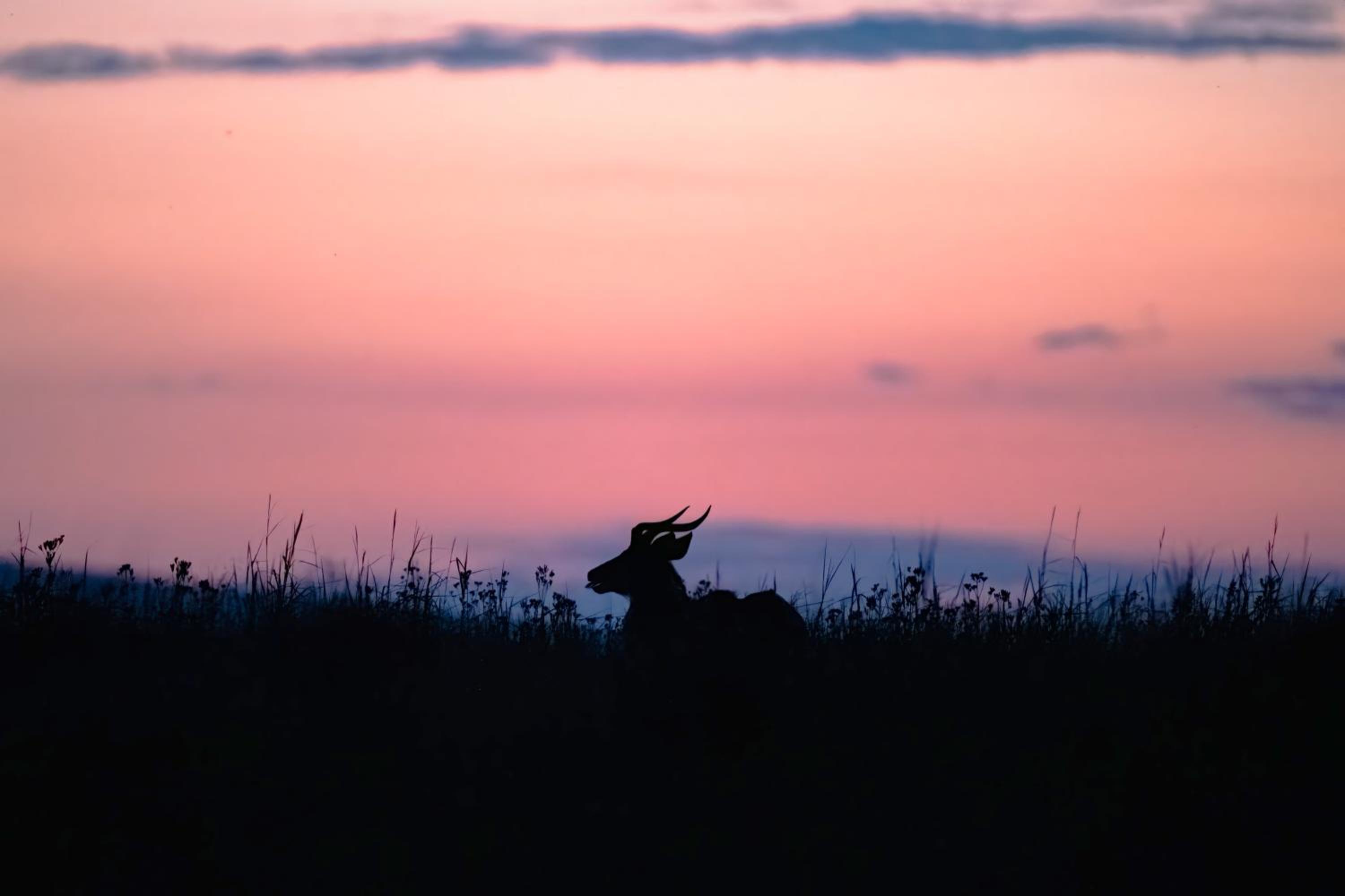 Zulu Rock Lodge - Babanango Game Reserve