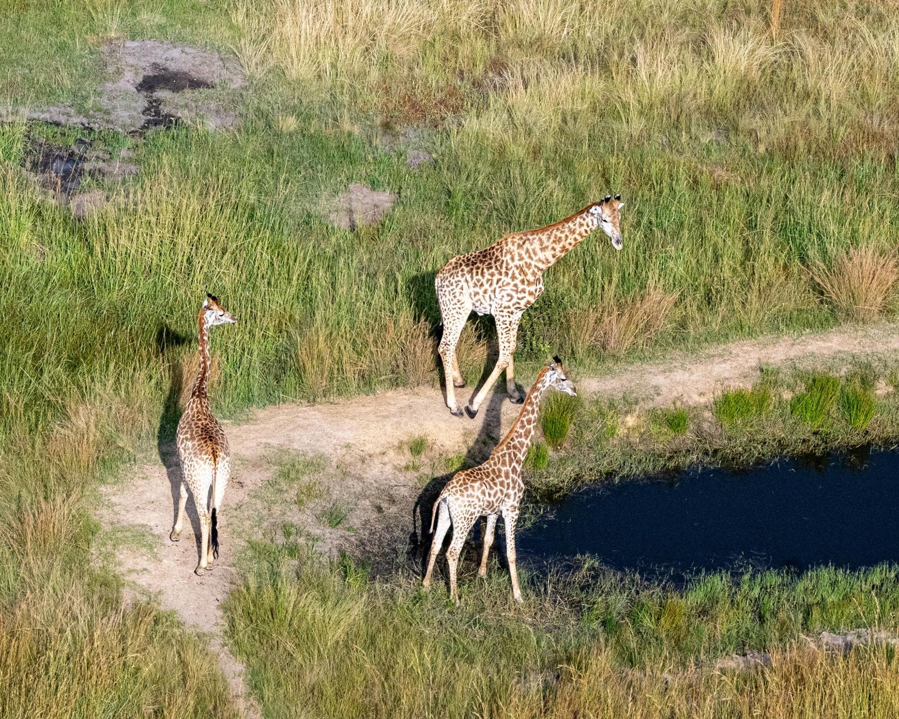 Zulu Rock Lodge - Babanango Game Reserve