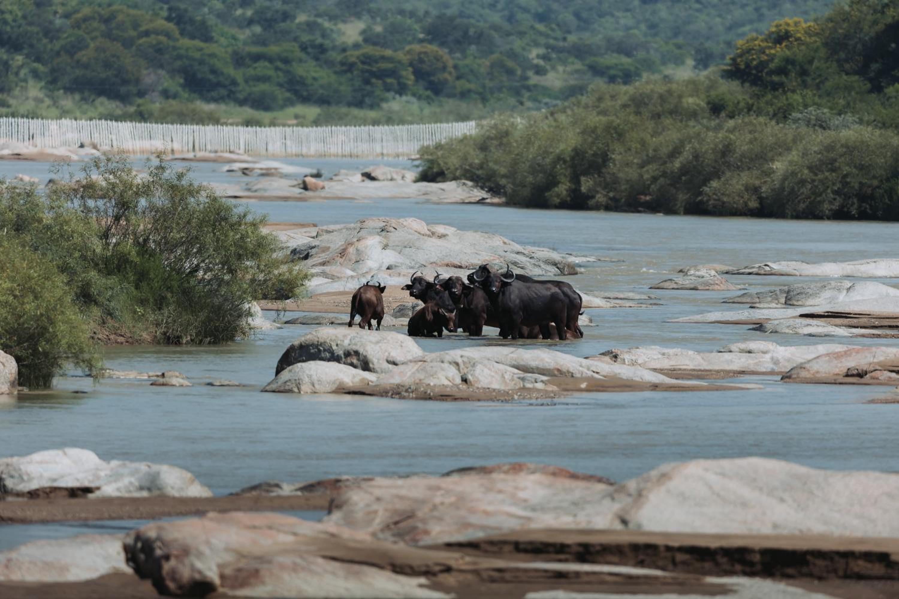 Zulu Rock Lodge - Babanango Game Reserve