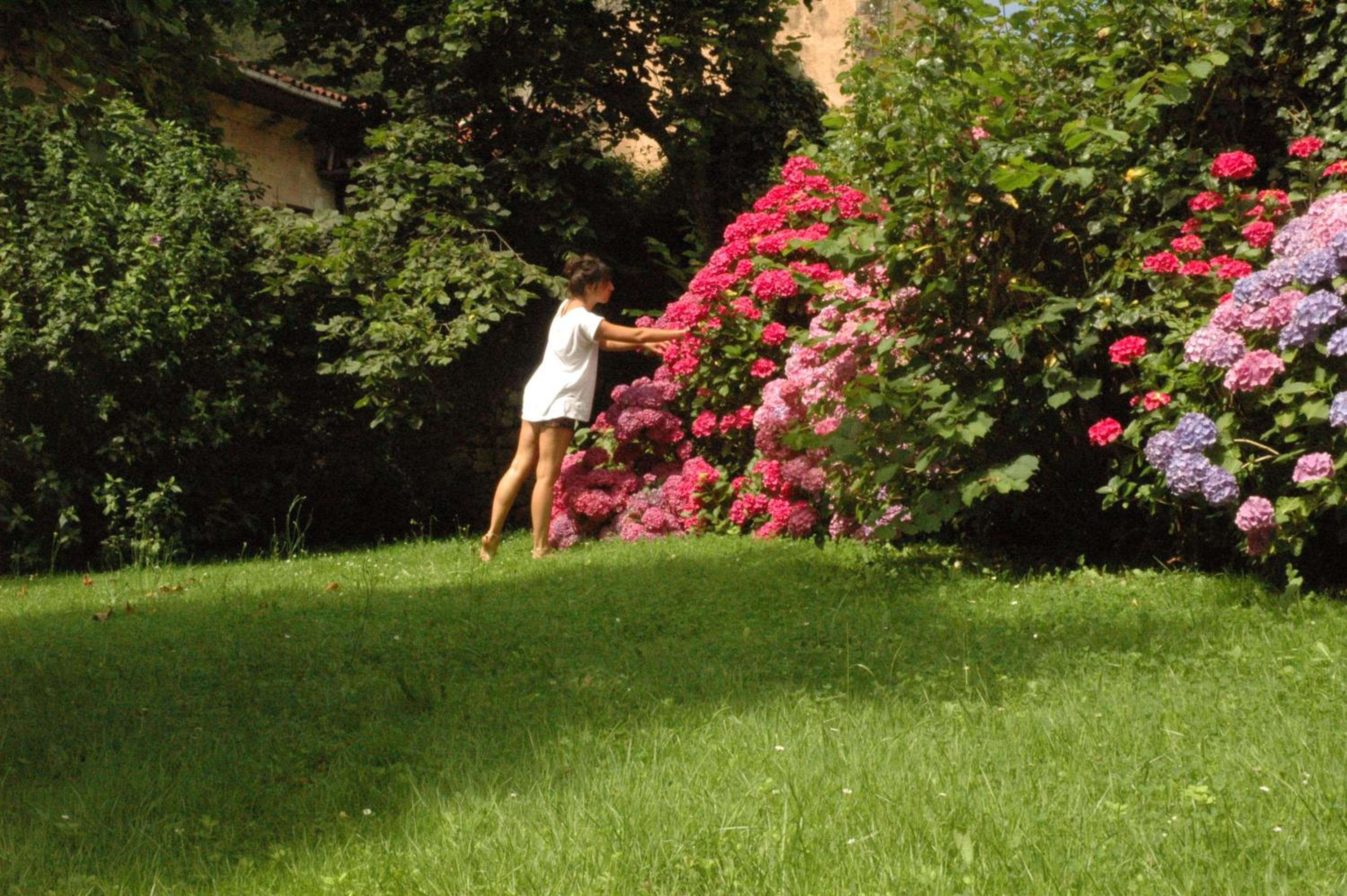 Palacio de Hualle photo 5