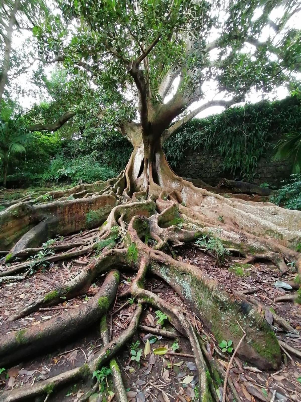 Photo 24