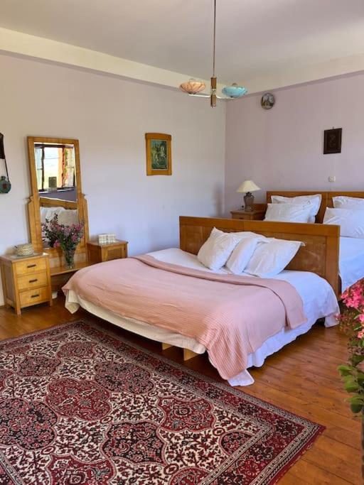 Casa Ivan