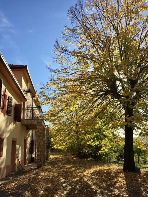 Casa Ivan