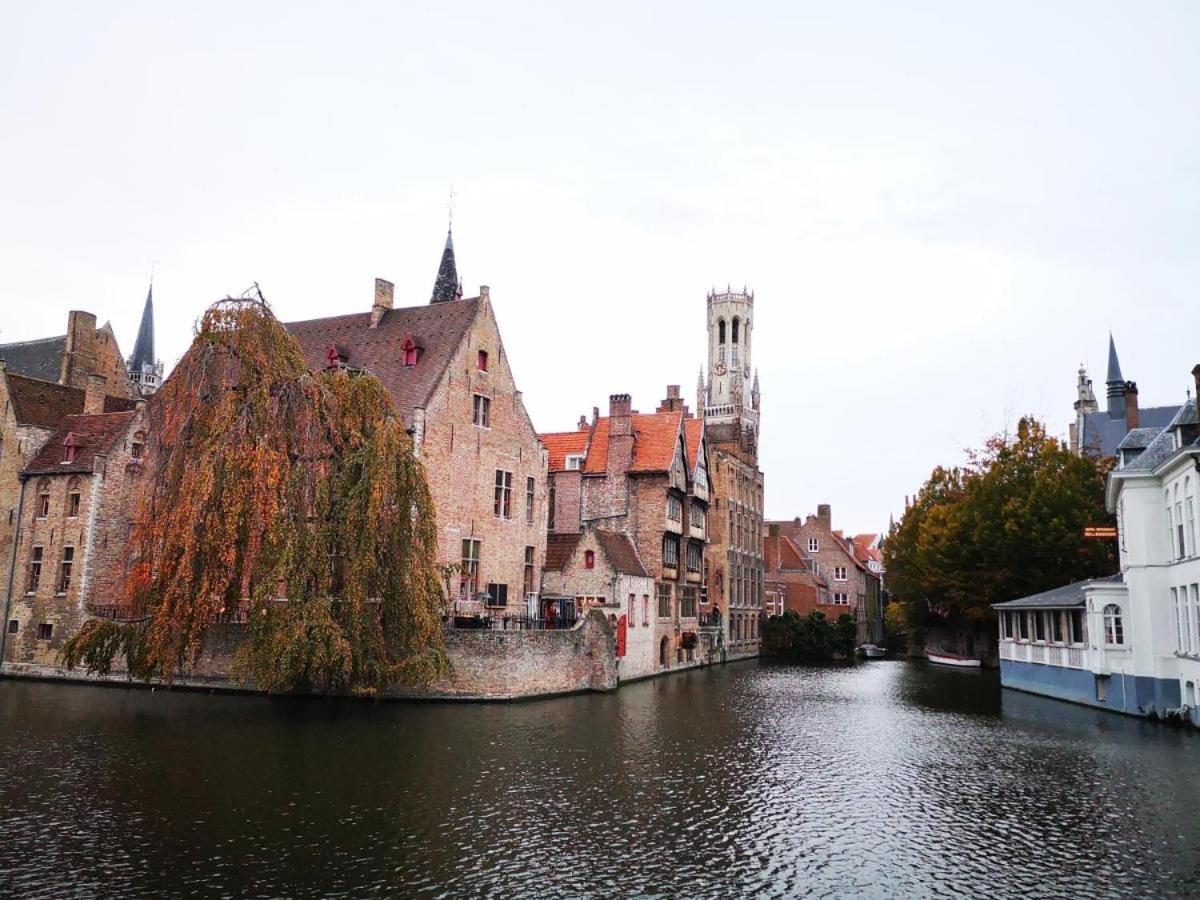 Bruges Vacations - Die Scone BB - Guestroom - Centre of Bruges in calm area - Property Image 3