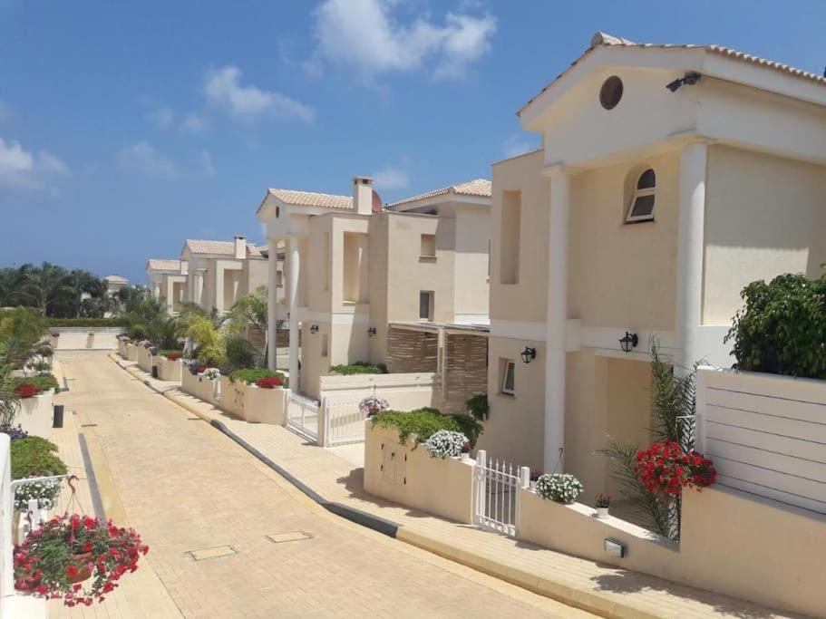 Stylish & Picturesque Oasis Anthorina 2