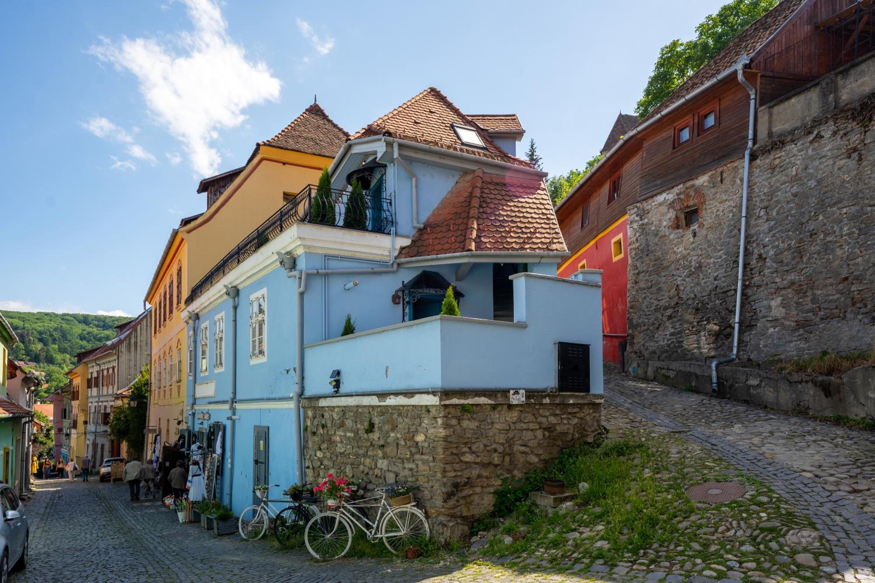 Casa Albastră by Casa Otto