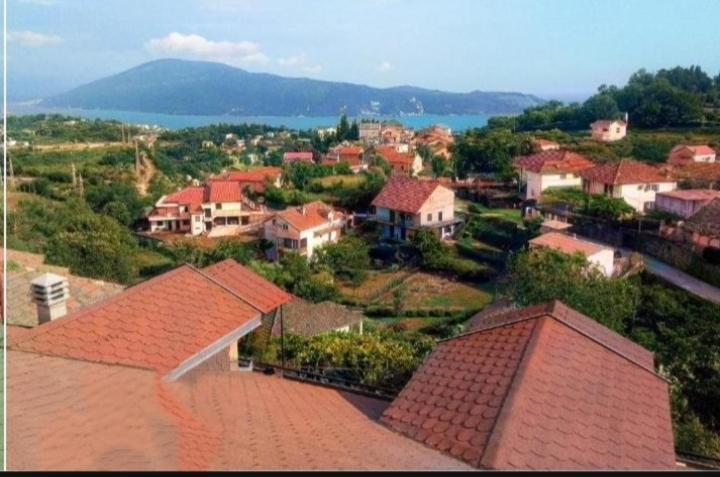 Apartment Lidija