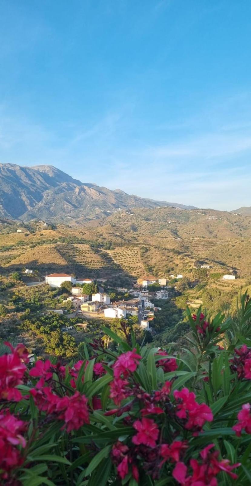La Vista Viñuela