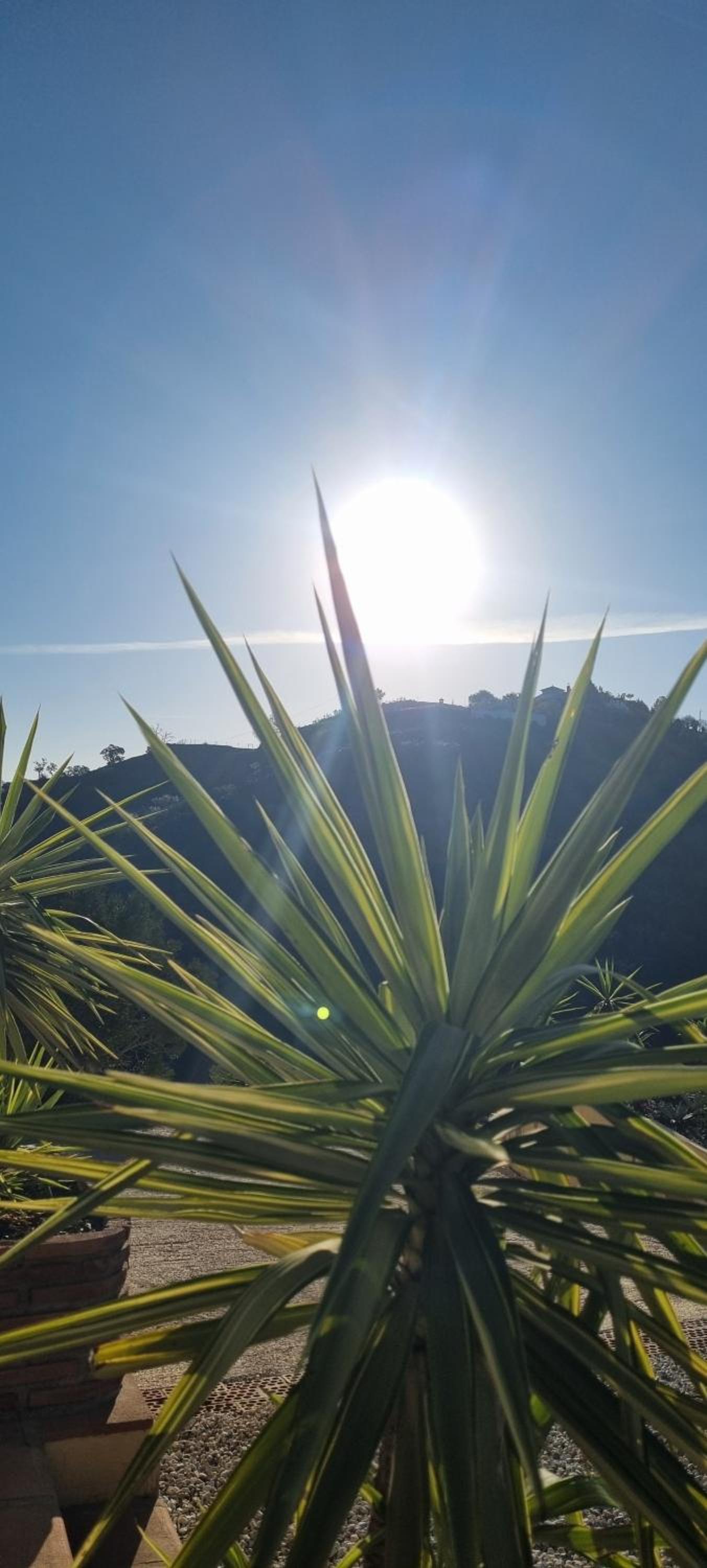 La Vista Viñuela