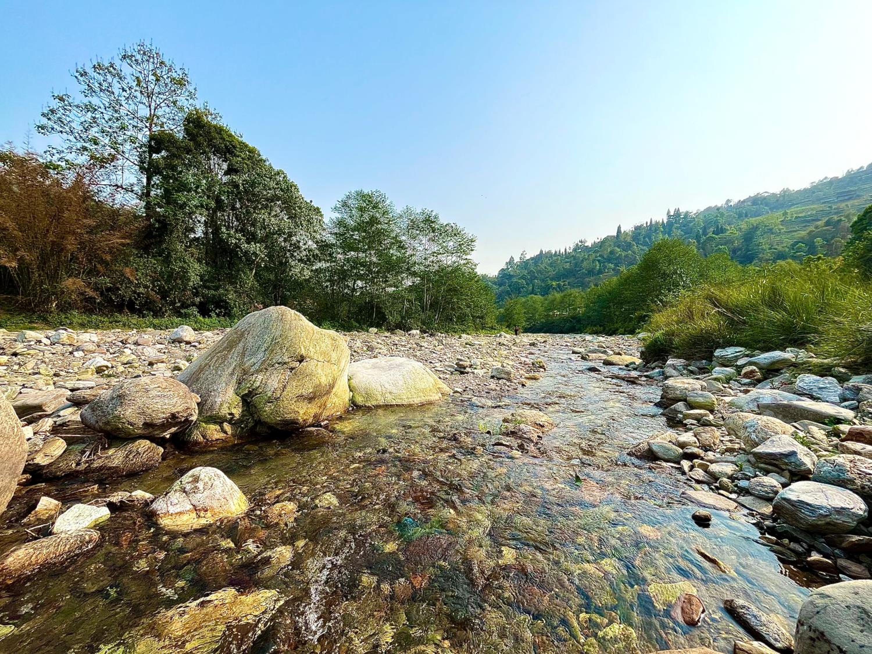 Sherpa Homestay