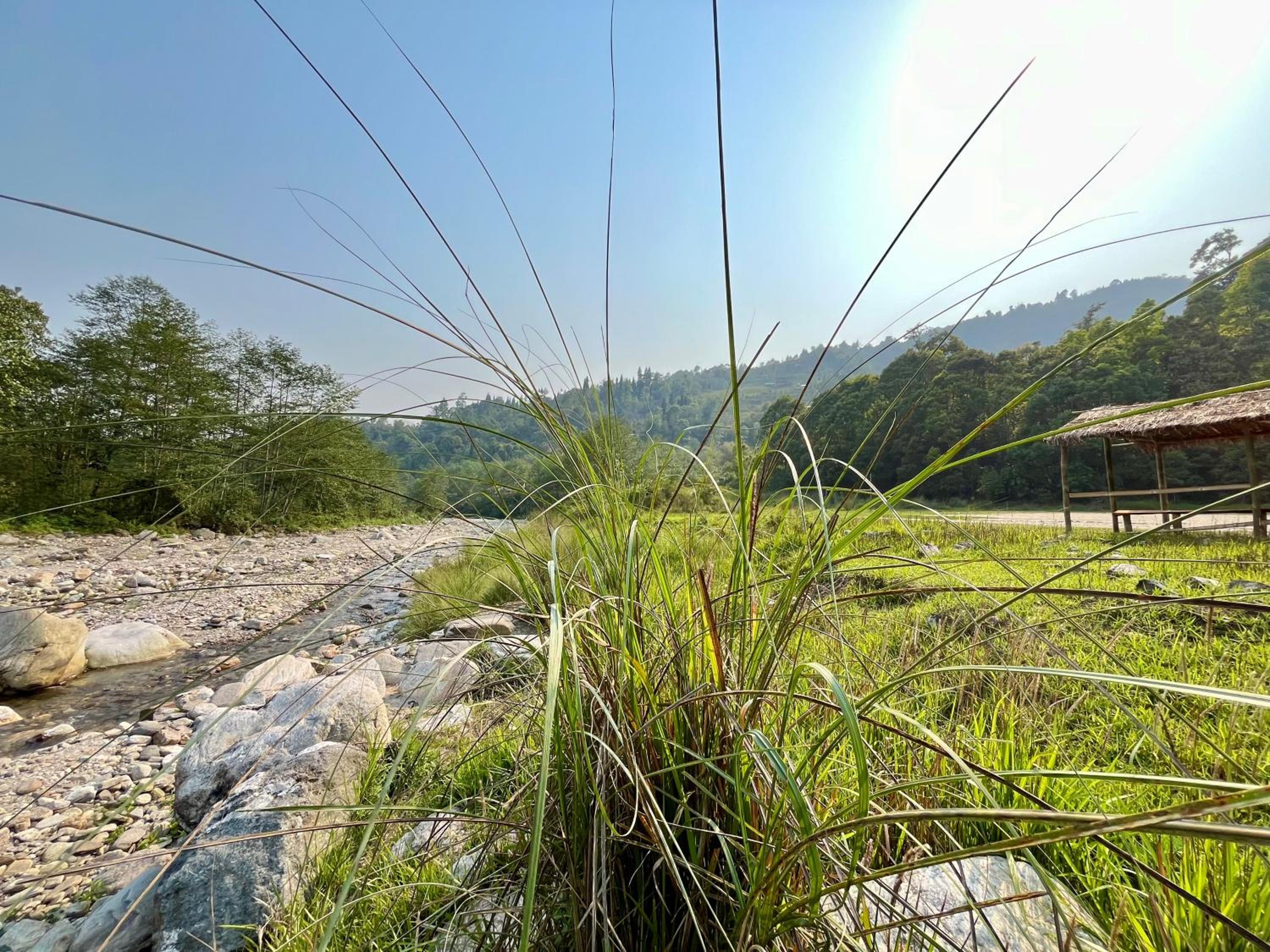 Sherpa Homestay