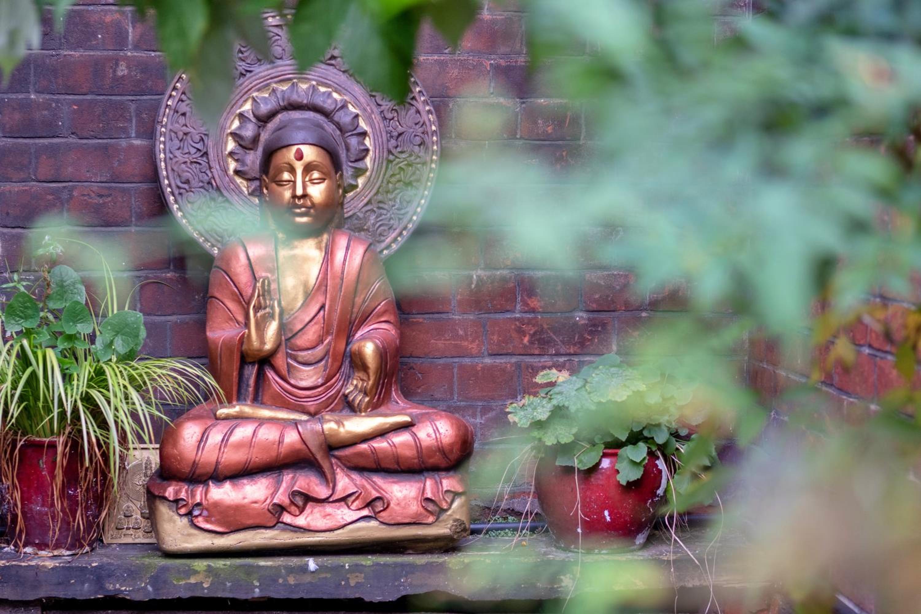 Lotus GuestHouse