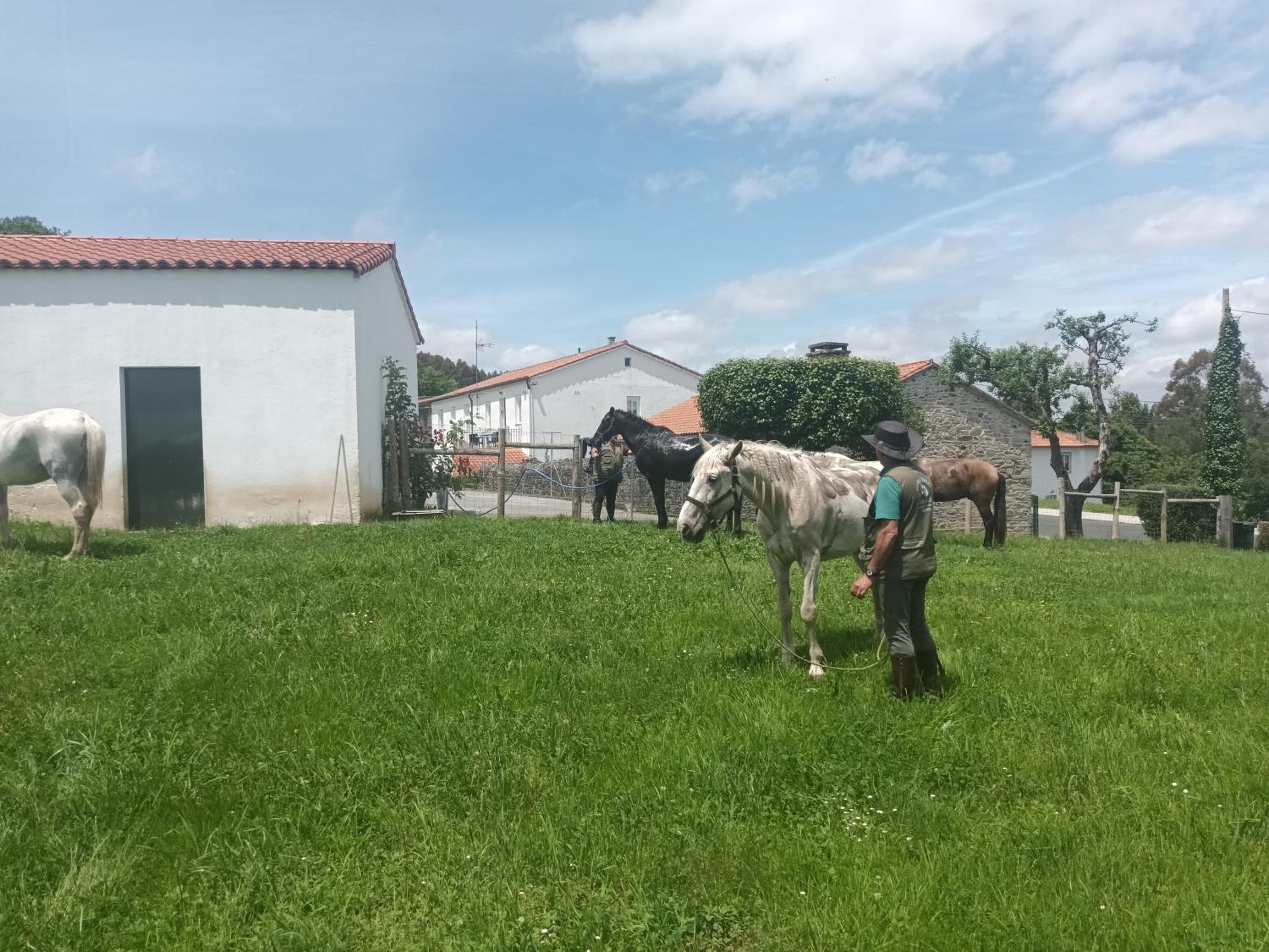 CASA DAVID-con cuadras para caballos