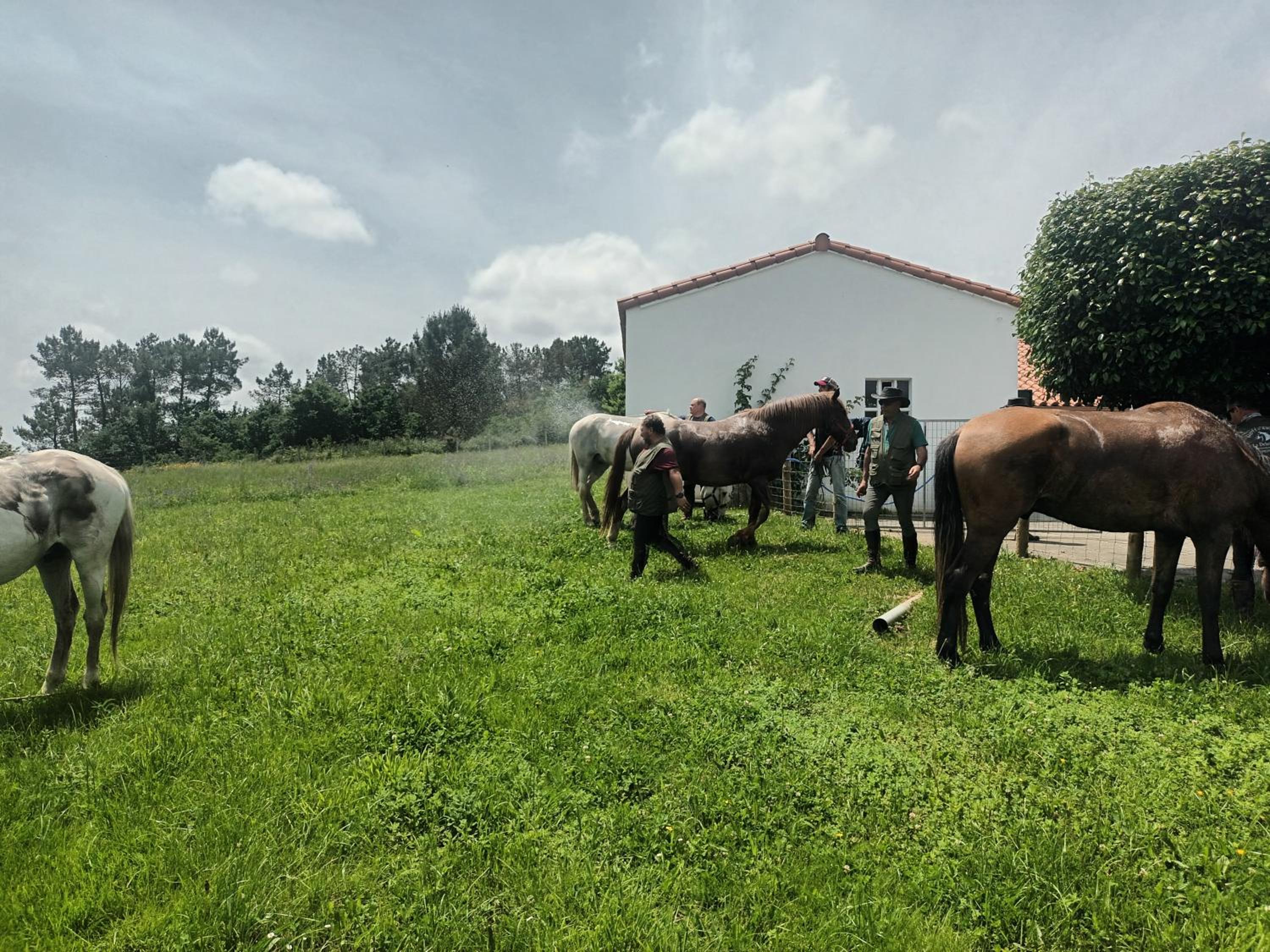 CASA DAVID-con cuadras para caballos