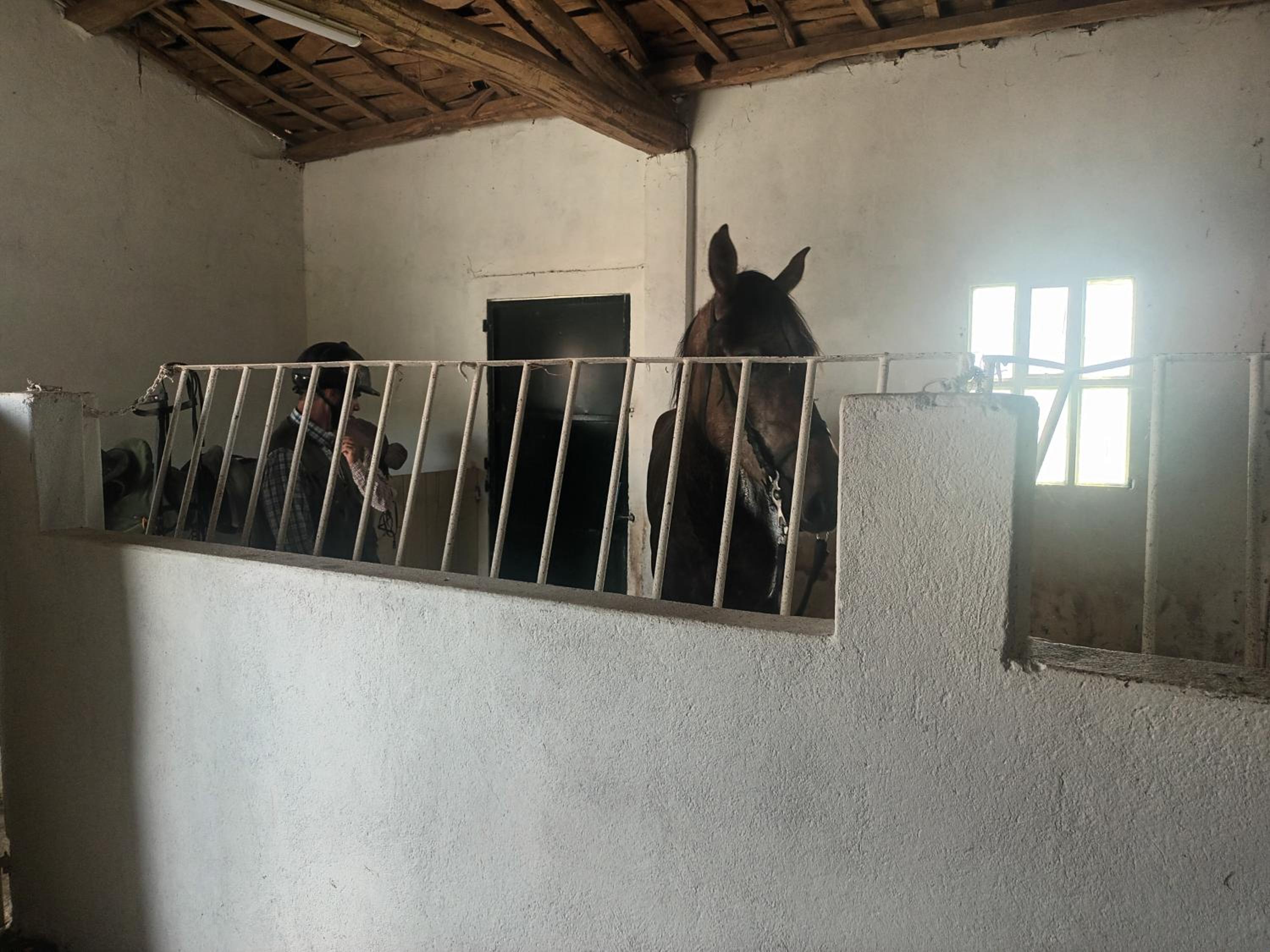 CASA DAVID-con cuadras para caballos