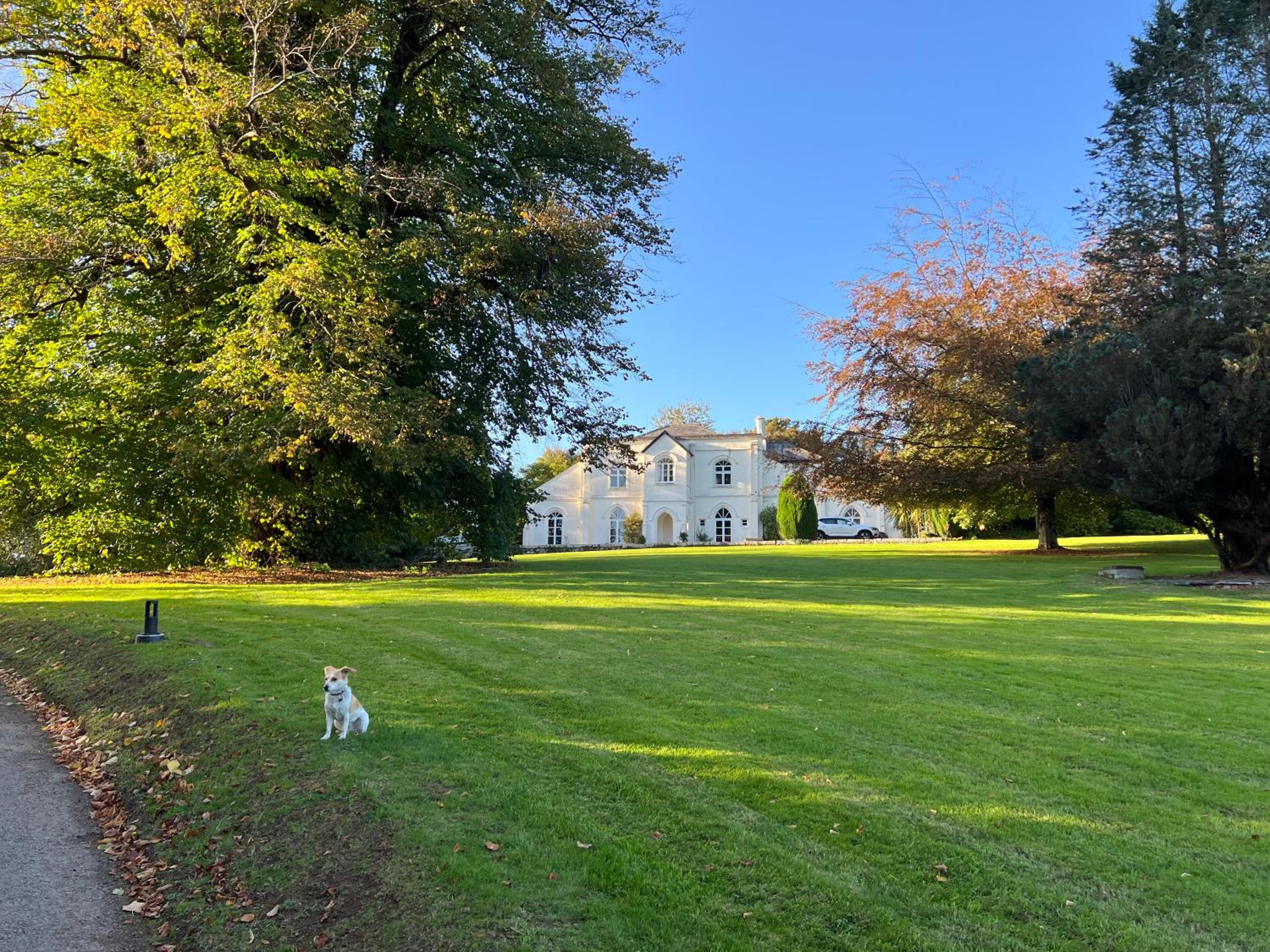 Moorswater Lodge Country House with Wine Bar