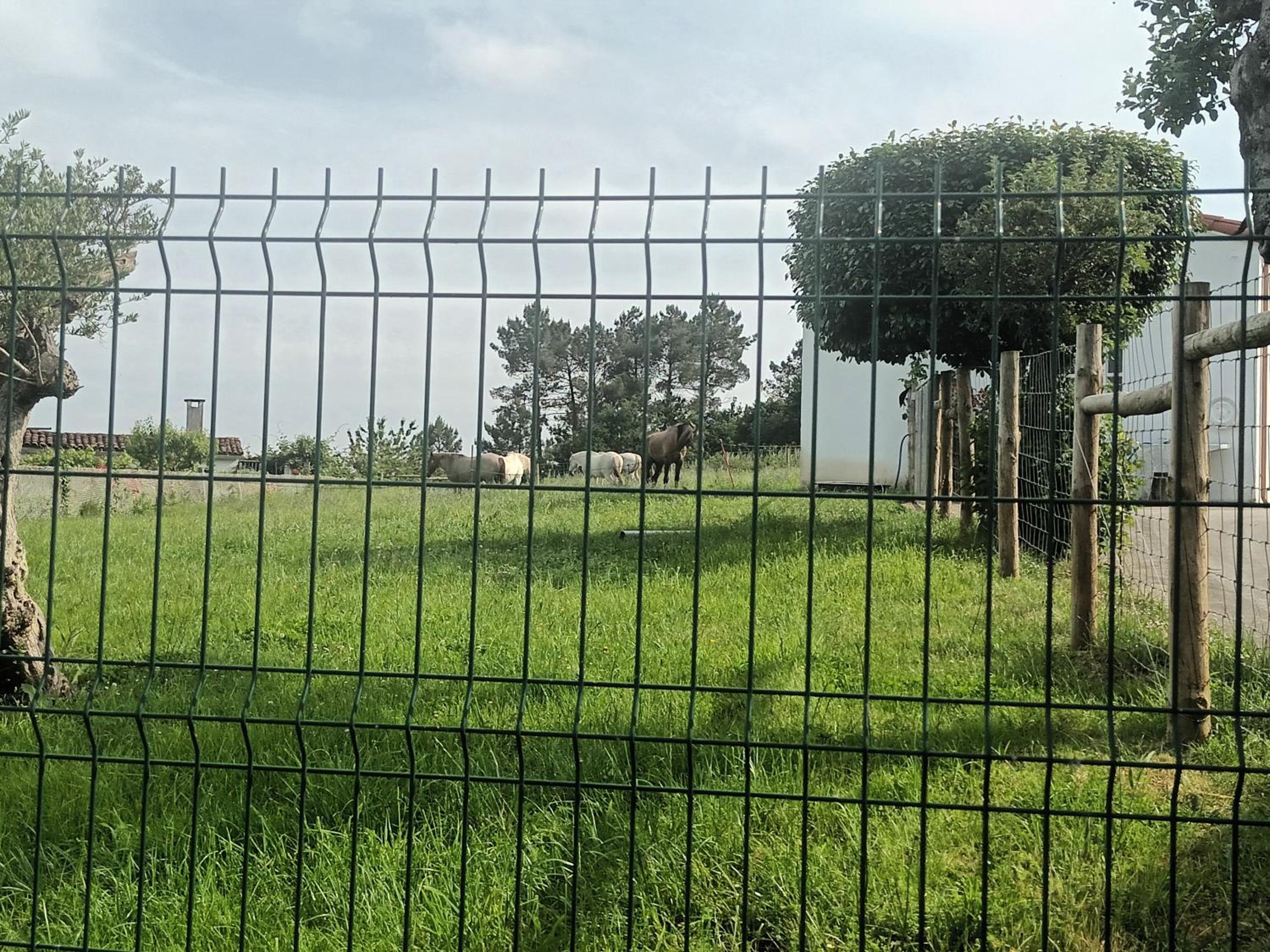 CASA DAVID-con cuadras para caballos