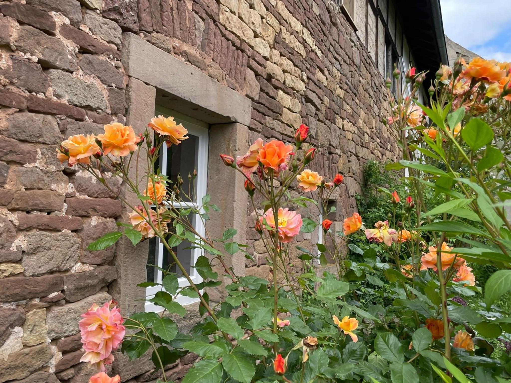 Cherrytree Cottage 1840