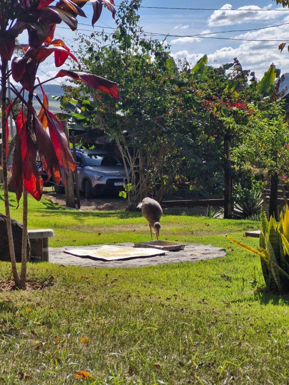 Canto dos Pirilampos - Pocinhos do Rio Verde