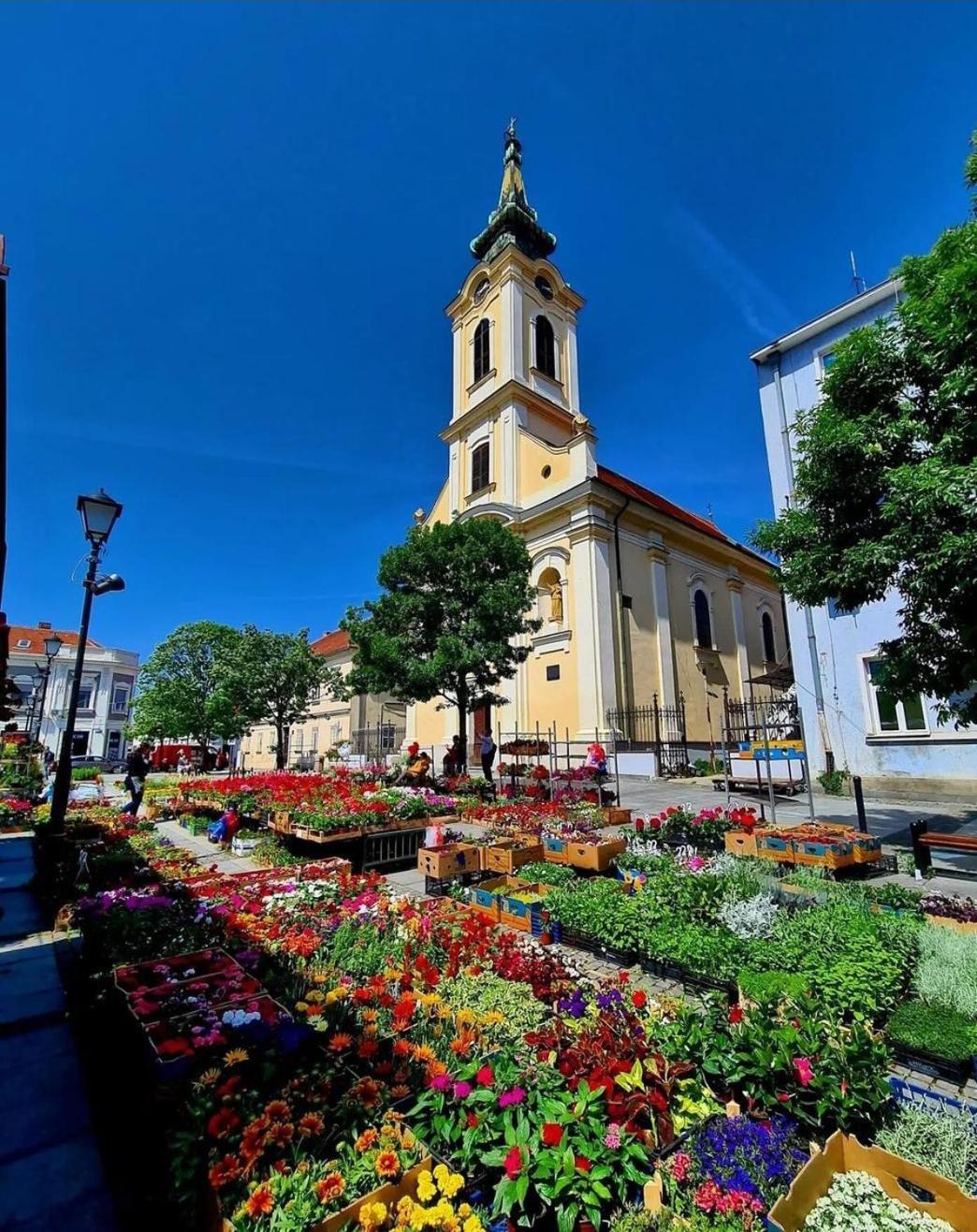 Zemun Central view 4