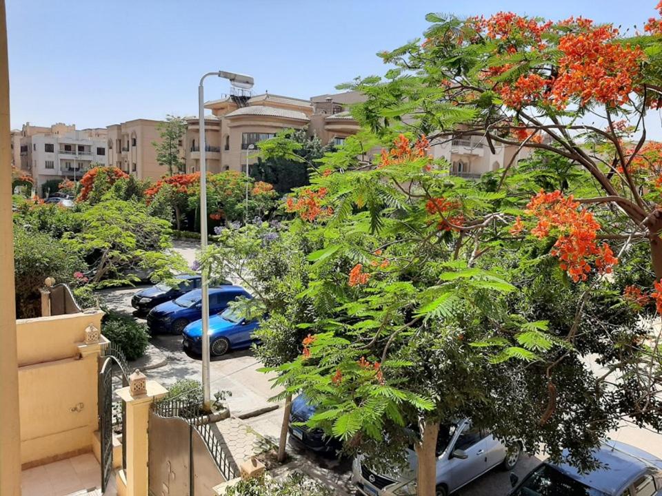 Small Friendly Apart In a Villa - New Cairo 5th Settlement