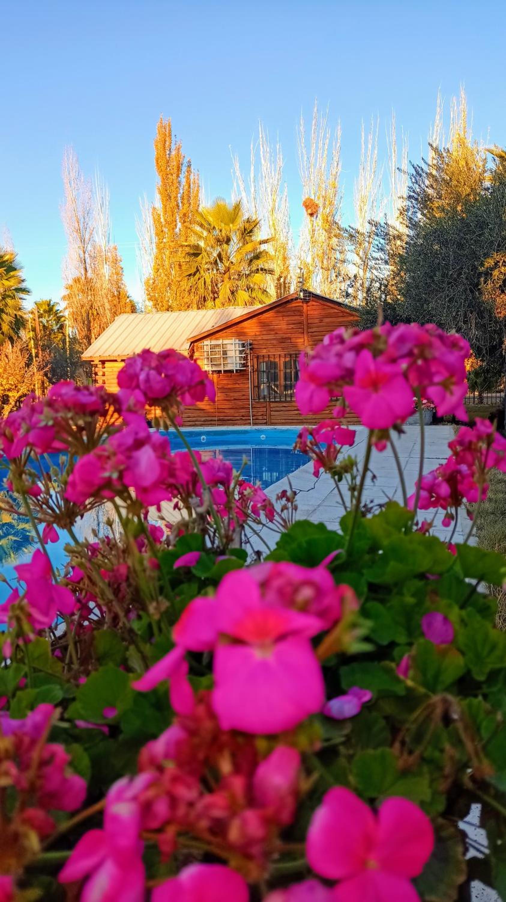 Quinta Los Olivos