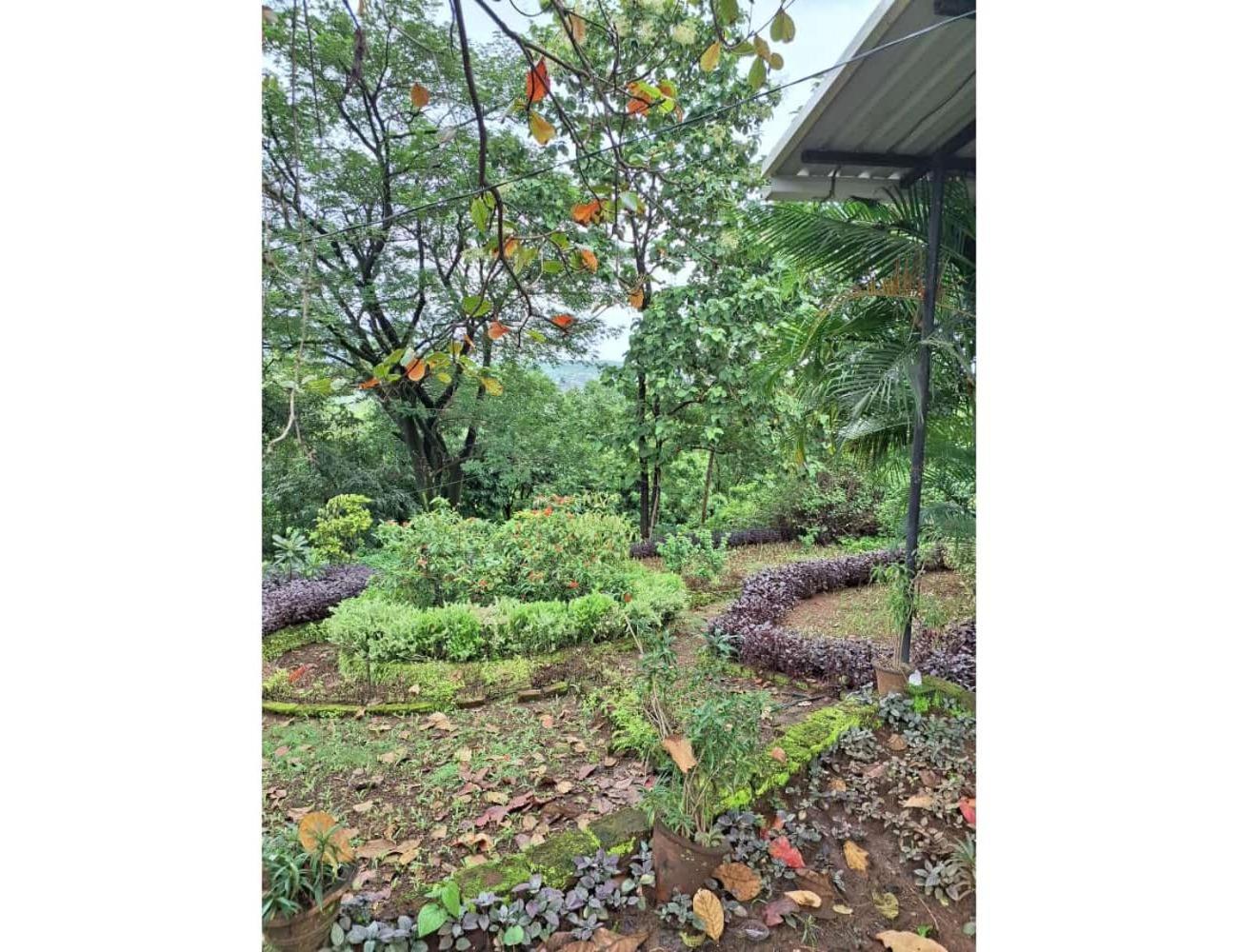 Hotel The Home Coming , Maharashtra view 5