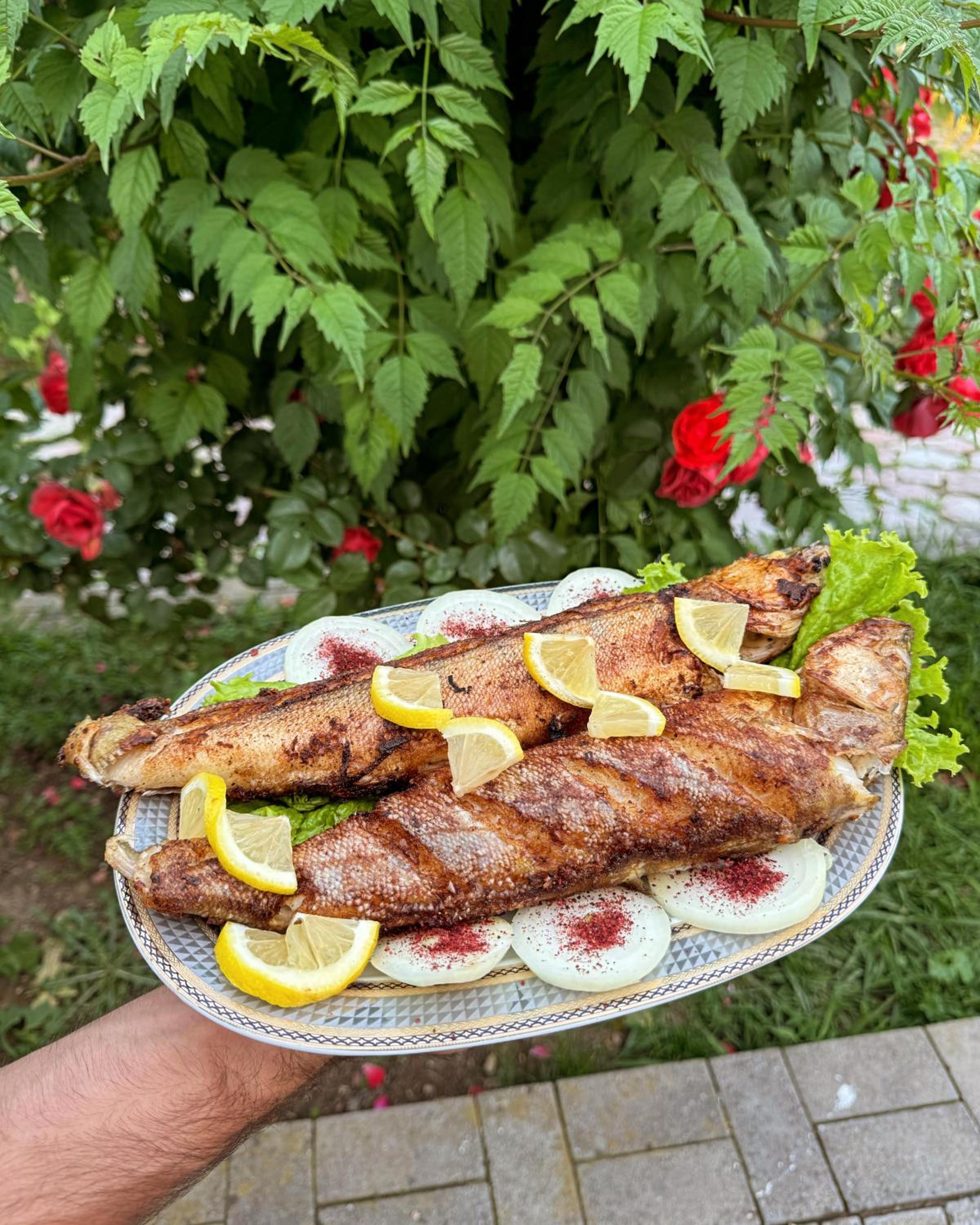 Qoşa Bulaq Oğuz