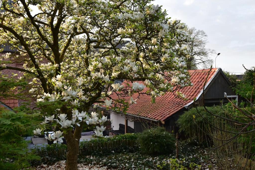 Kibbelschuur