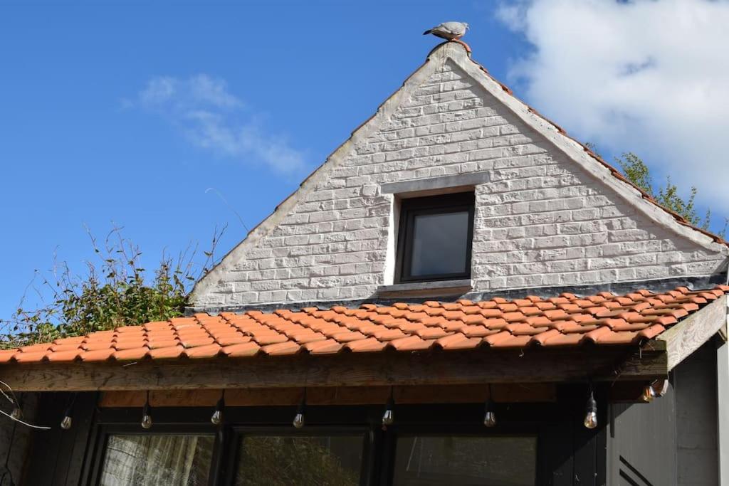 Kibbelschuur