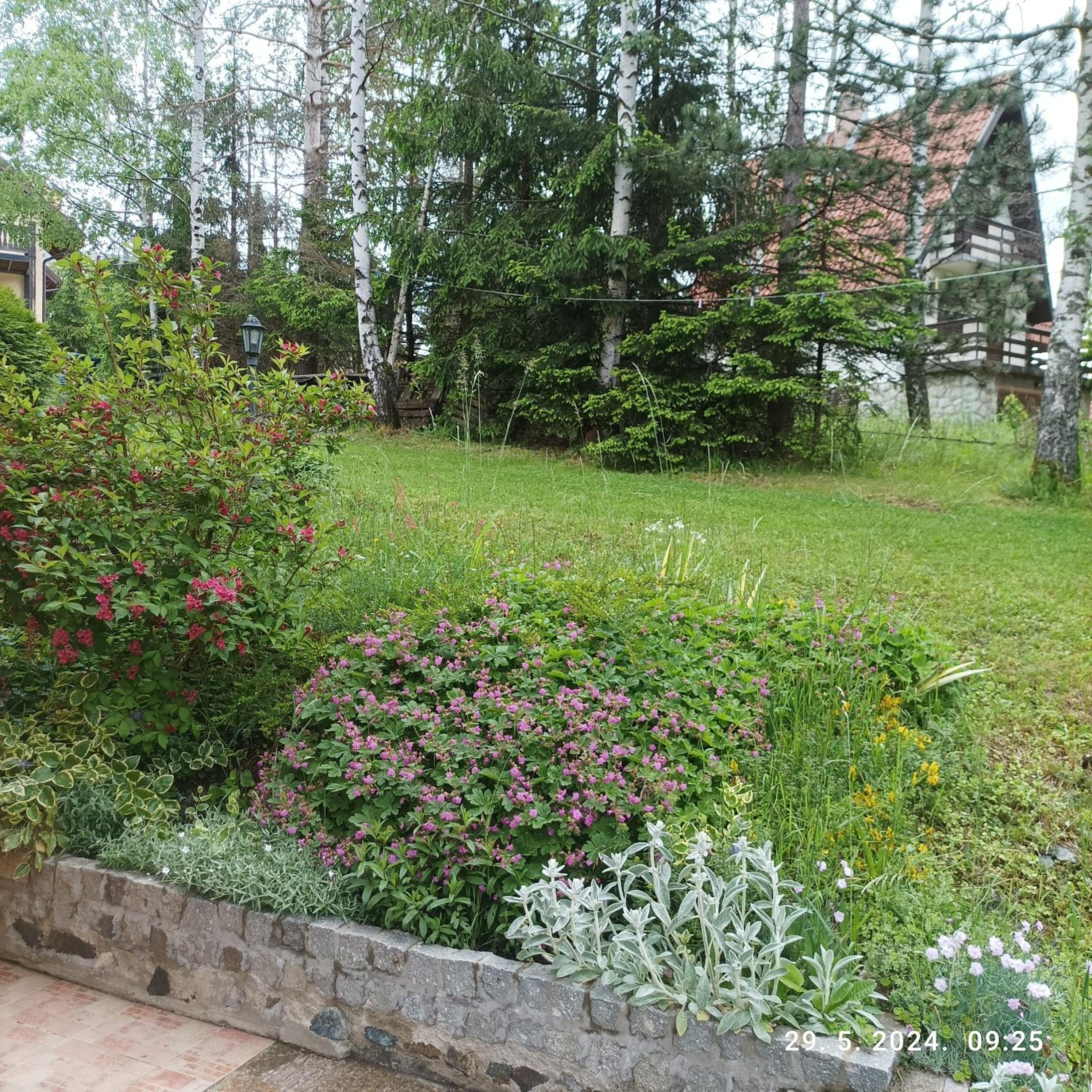 Photo 41