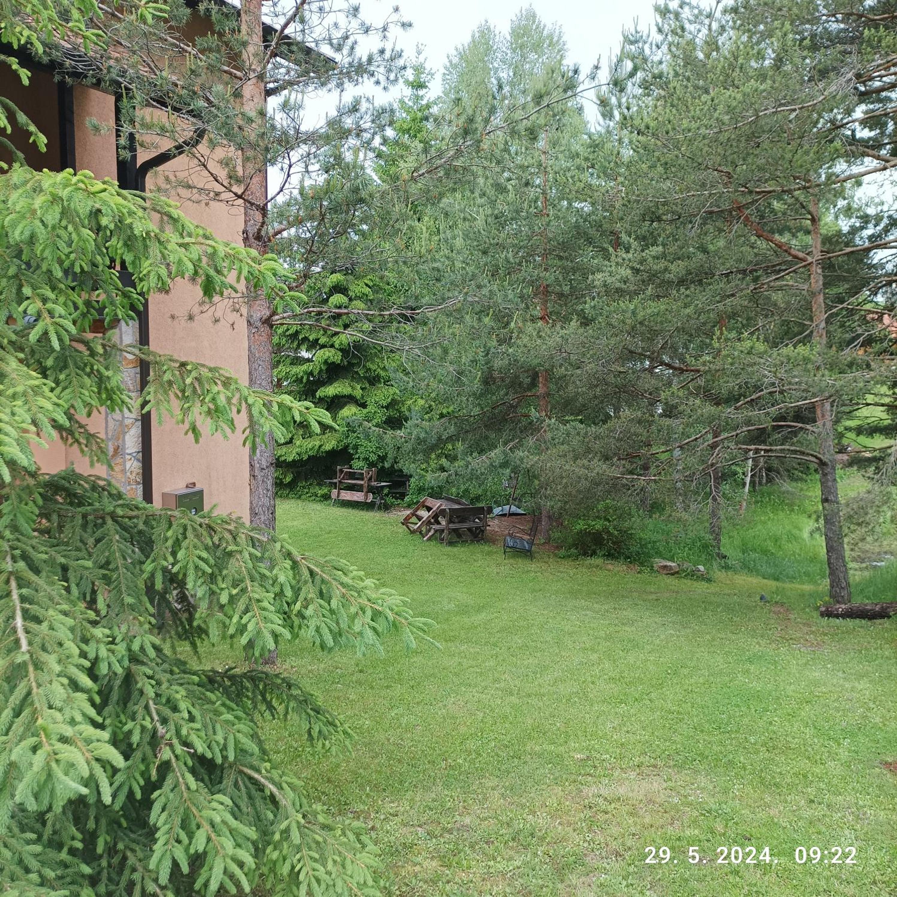 Photo 42