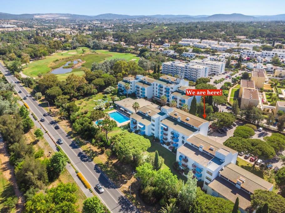 1BR Apartment with Pool @ Lago Azul view 4