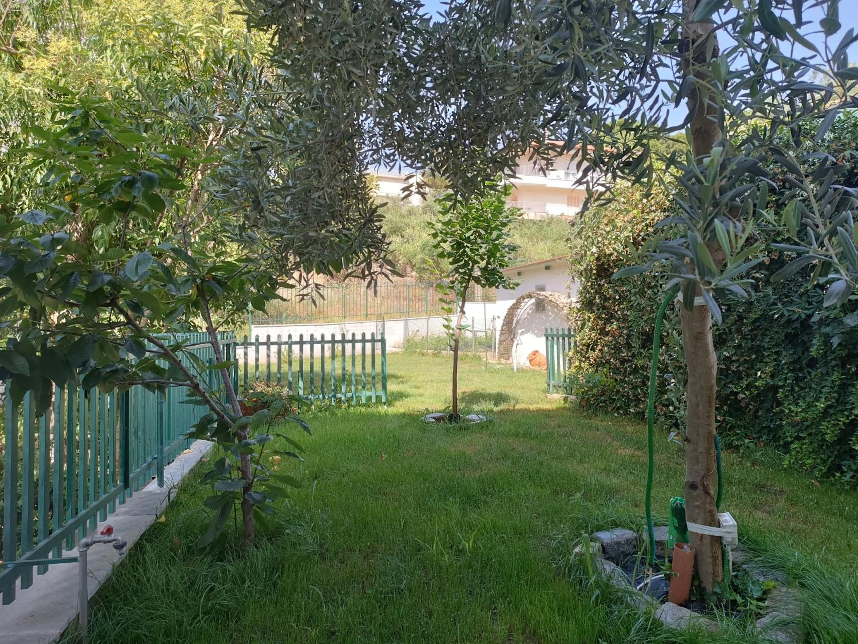 Anestis Apartments & rooms