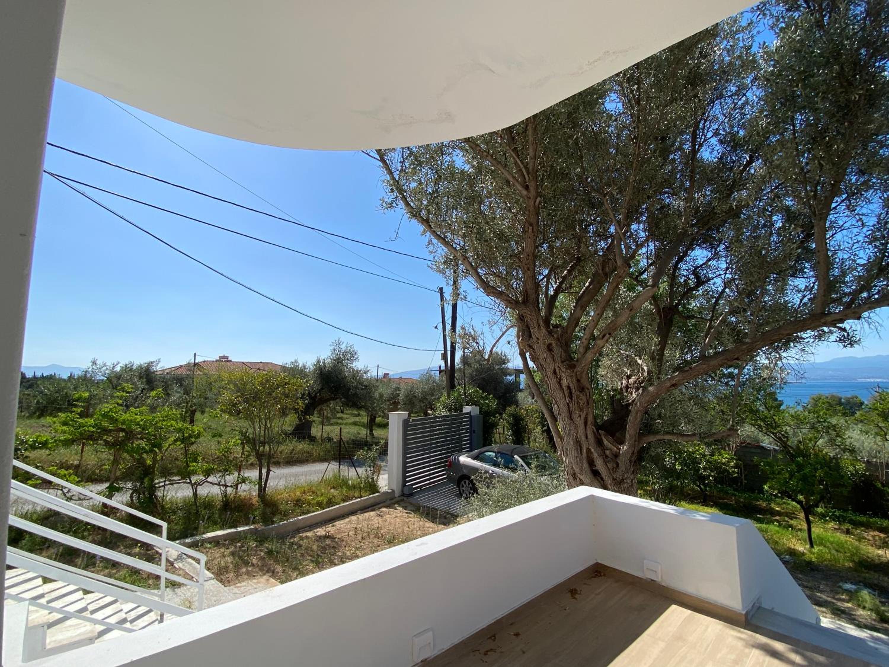 ALIDA Properties