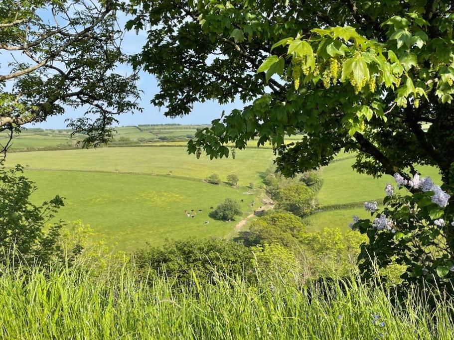 Whitebeam, Moor and Sea Holidays, beautiful views over Exmoor view 4