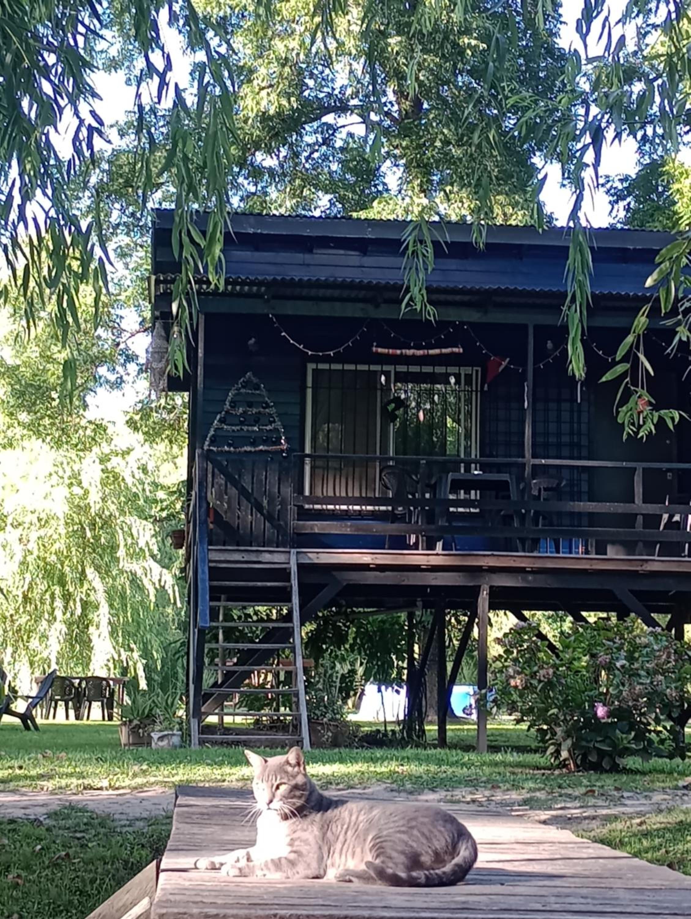 Cabañas El Río y Yo