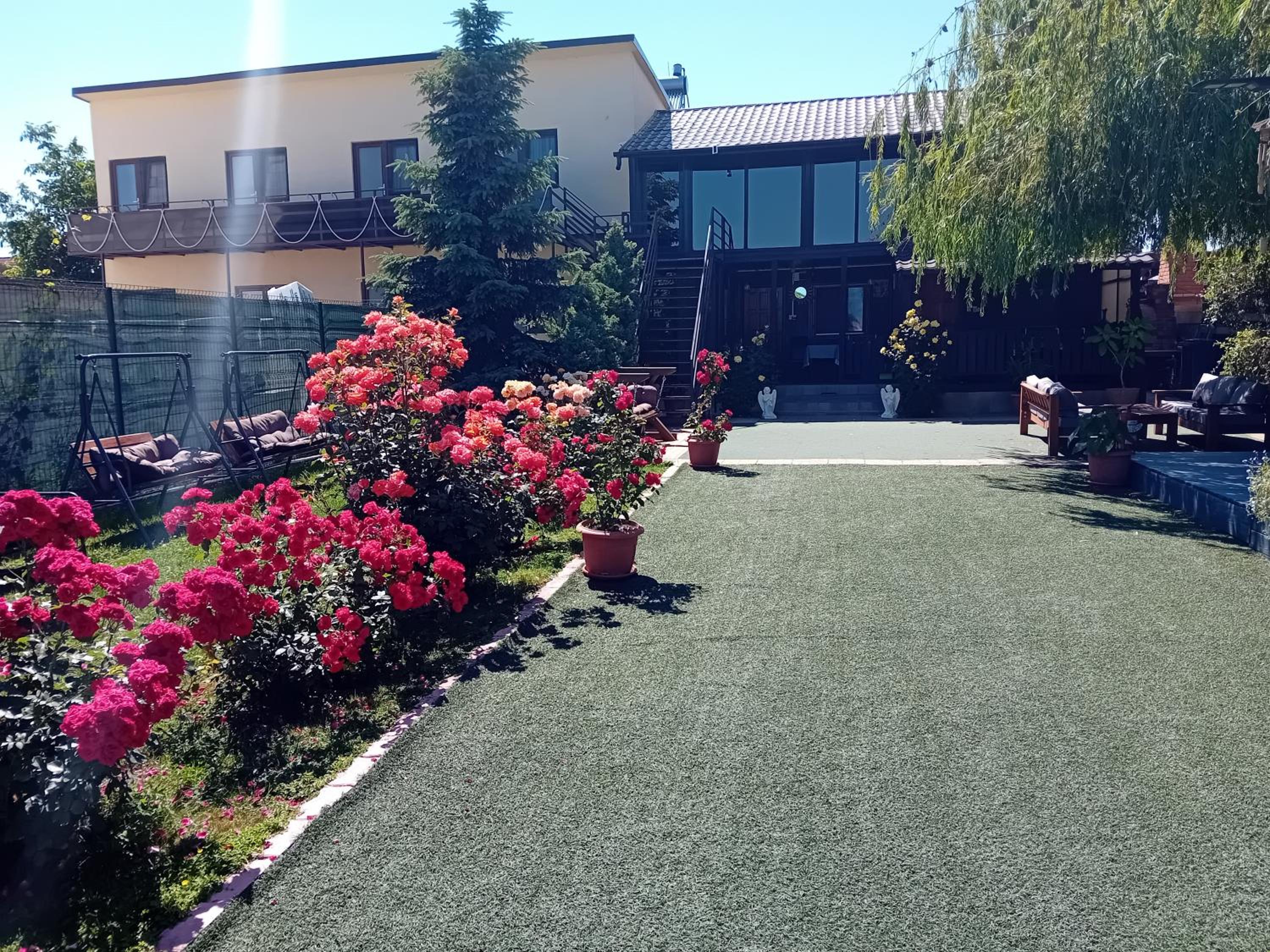 Photo 24