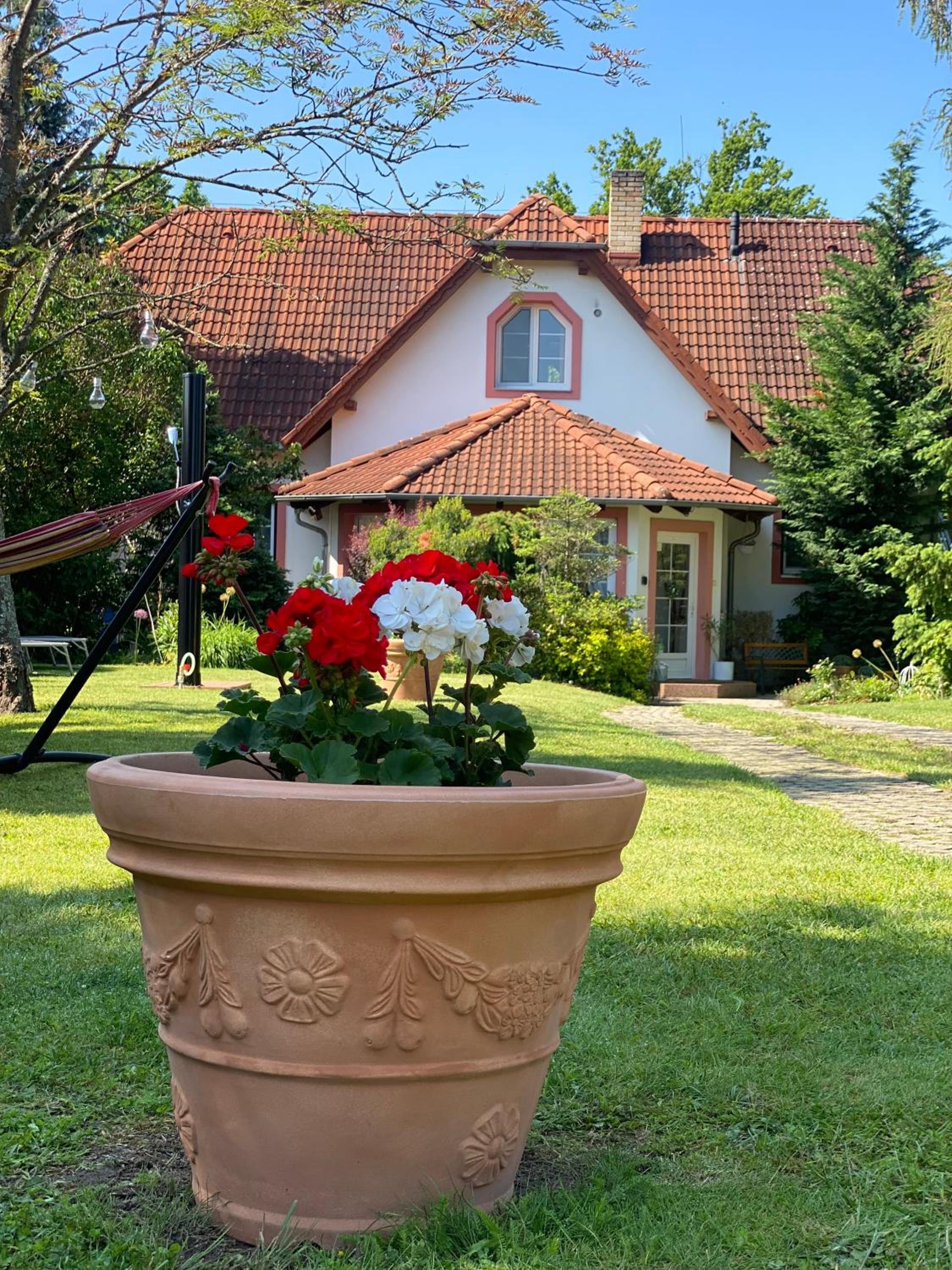Vila EVIO Třeboň, photo 71