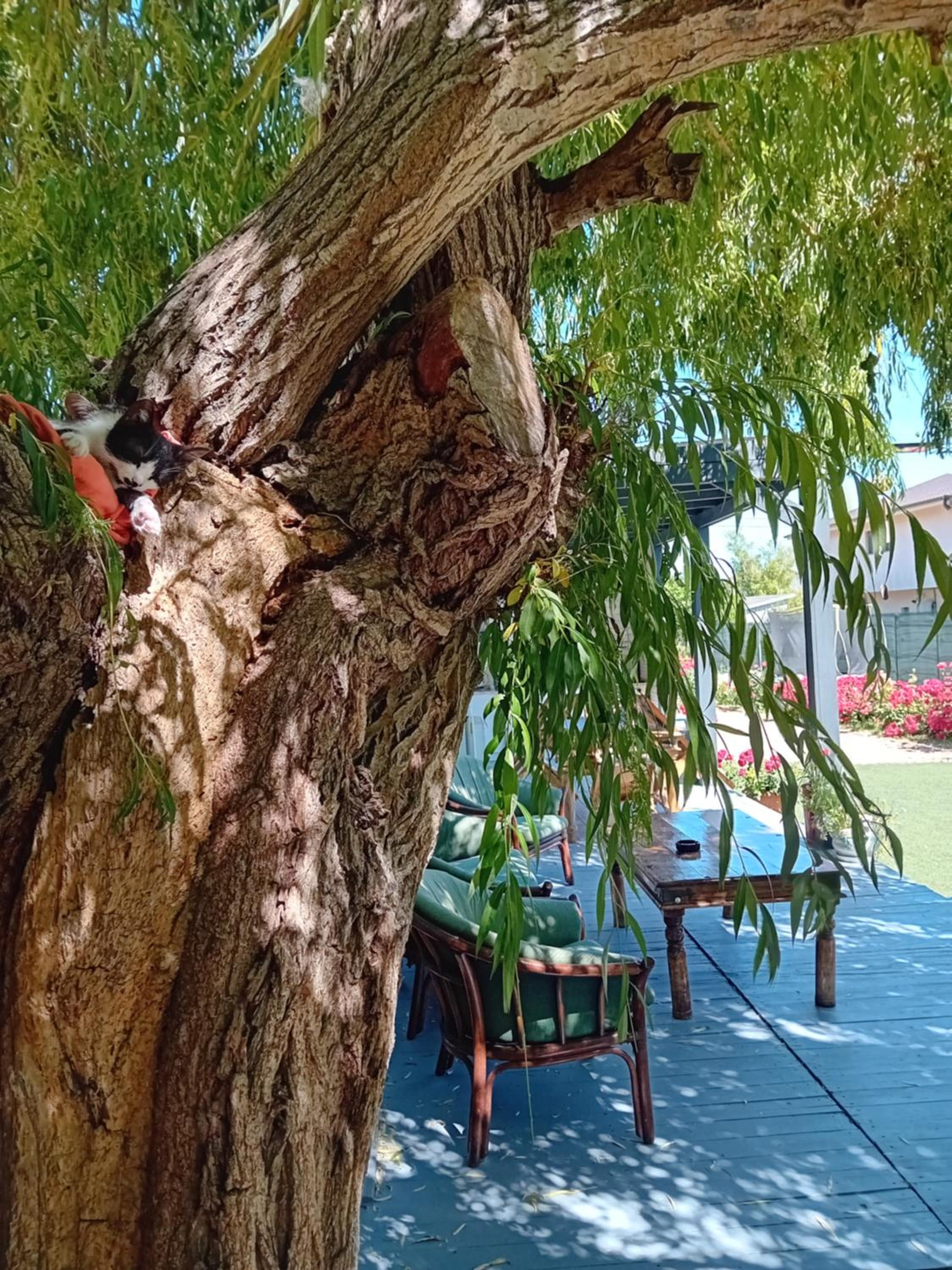 Photo 19