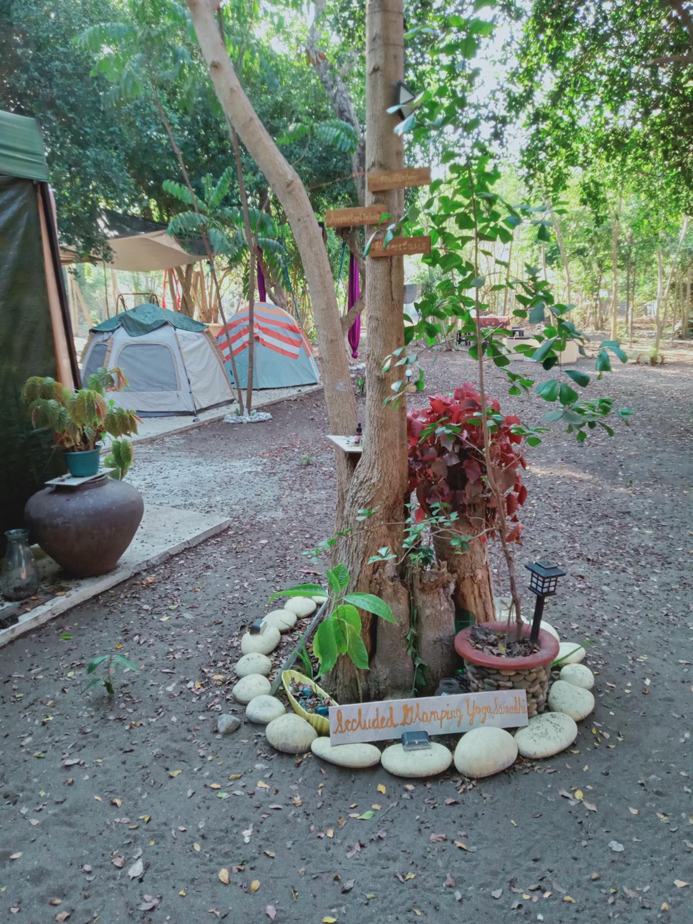 Photo 47