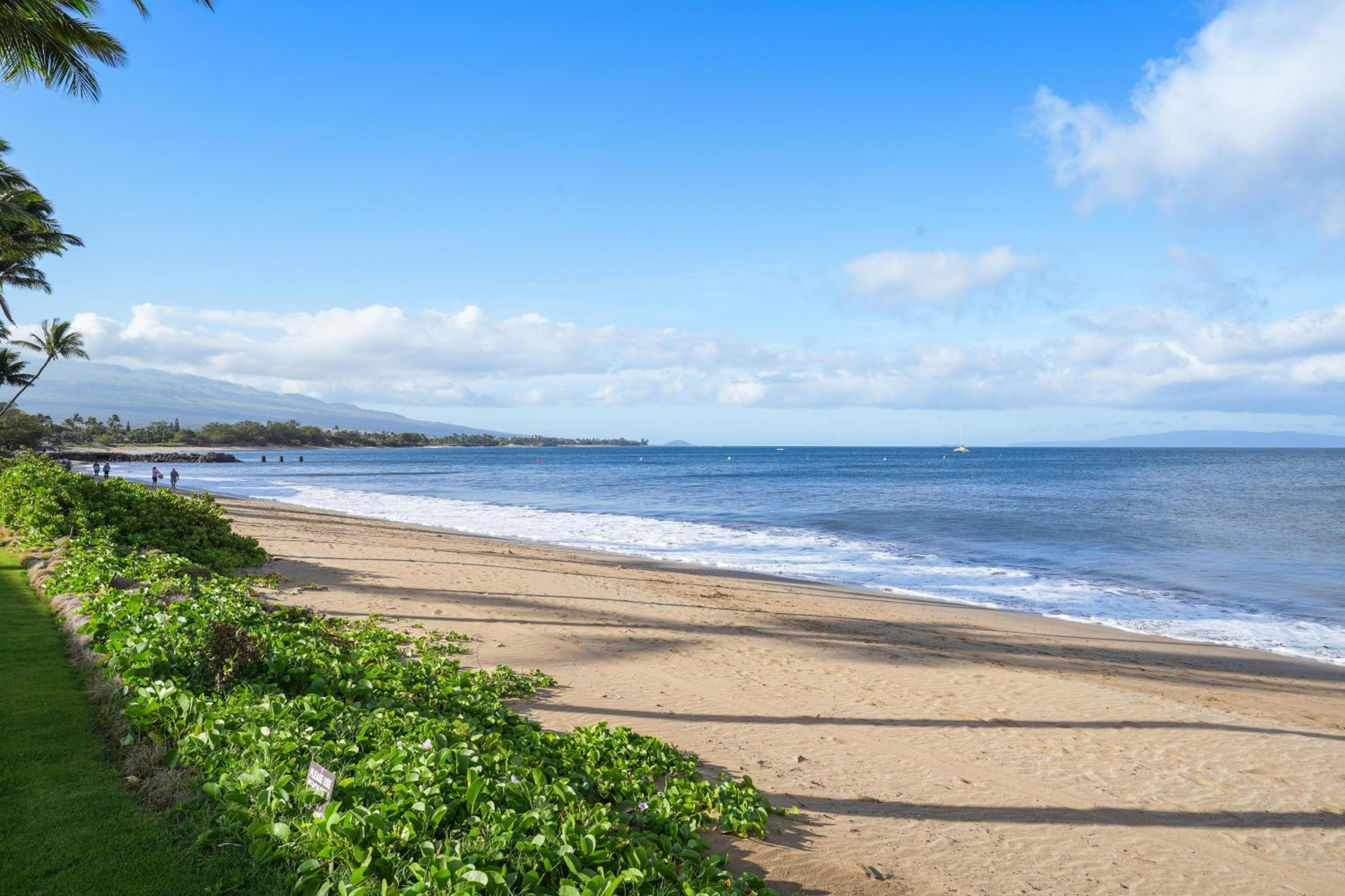 Maalaea Surf A6 · MAS A6 Remodeled Beachfront 2BD w Year Round B view 4