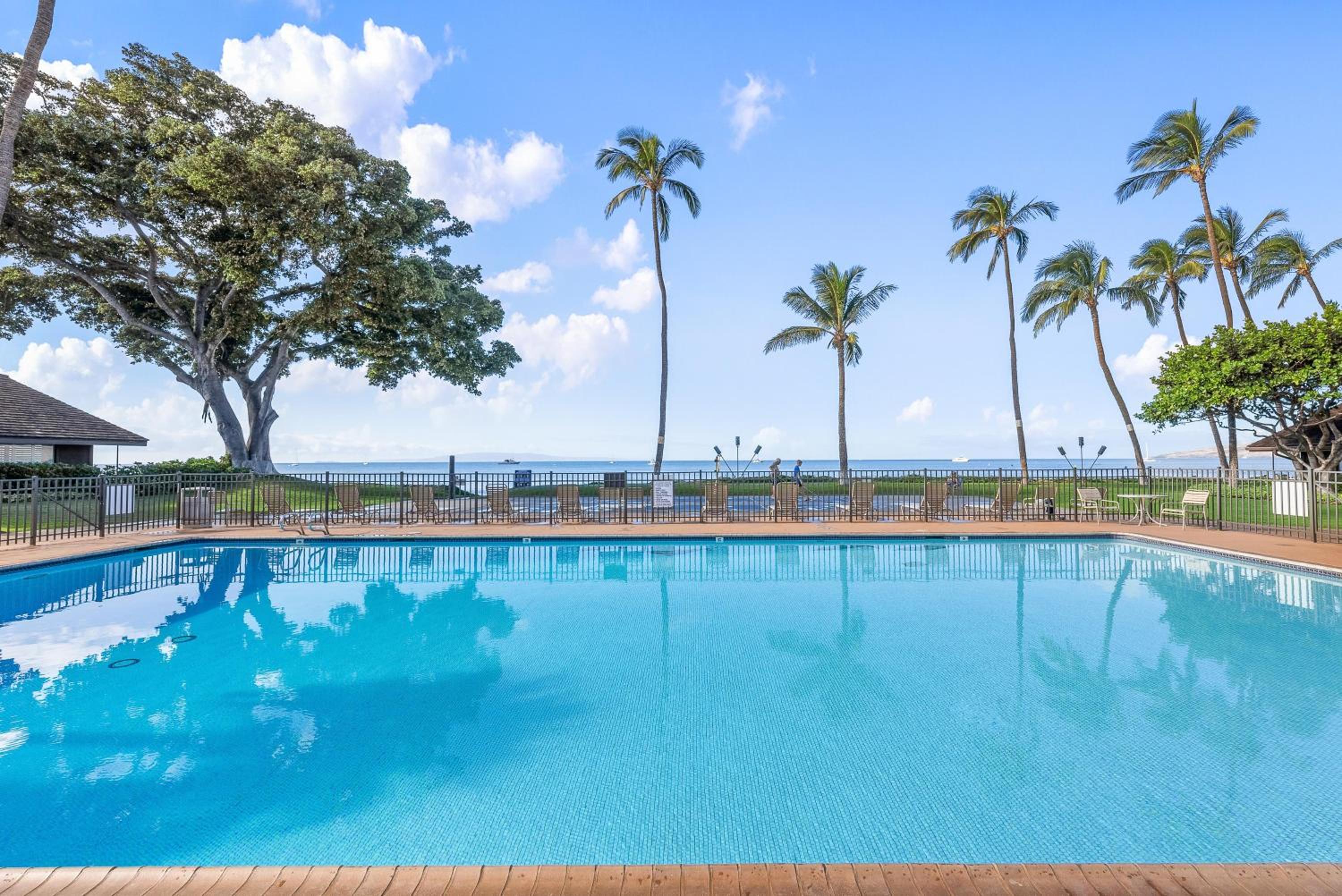 Maalaea Surf A6 · MAS A6 Remodeled Beachfront 2BD w Year Round B view 5