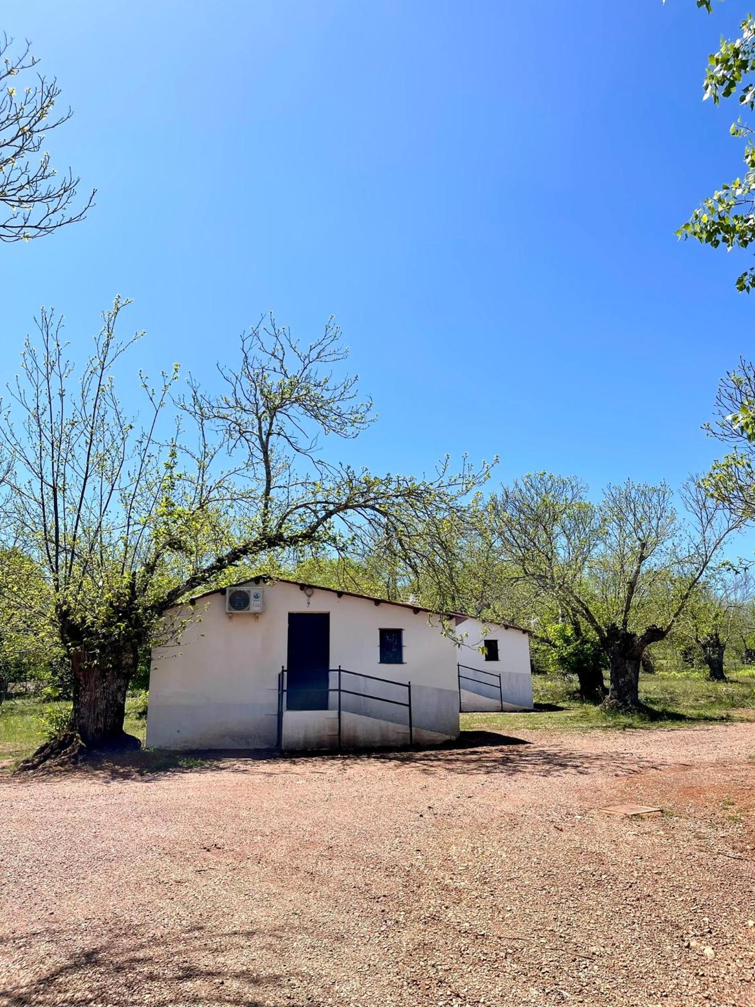 Camping El Madroñal