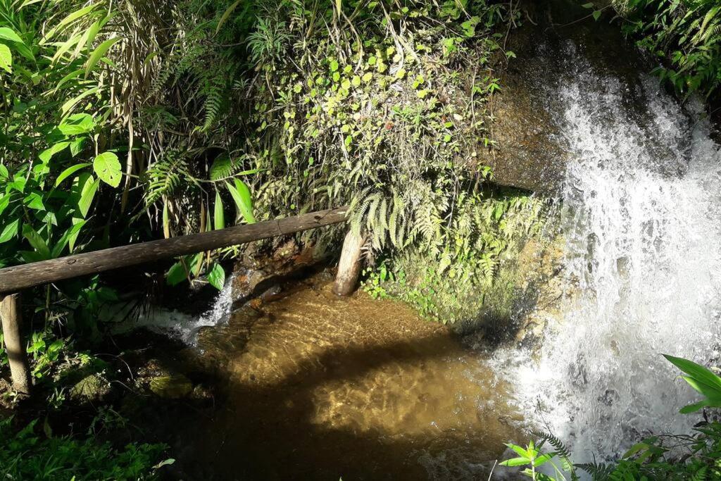 Chalé II Montanha da Cachoeira-Waterfall Mountain
