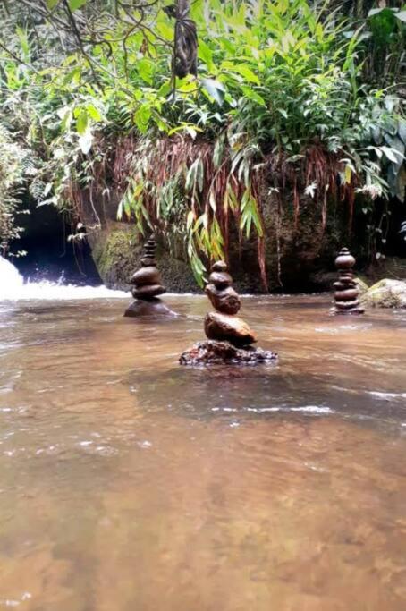 Chalé II Montanha da Cachoeira-Waterfall Mountain