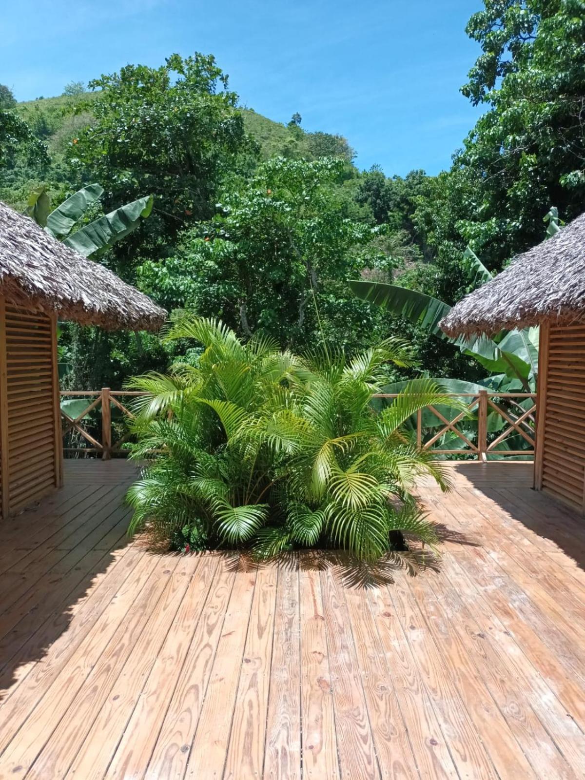 Samo Eco Lodge